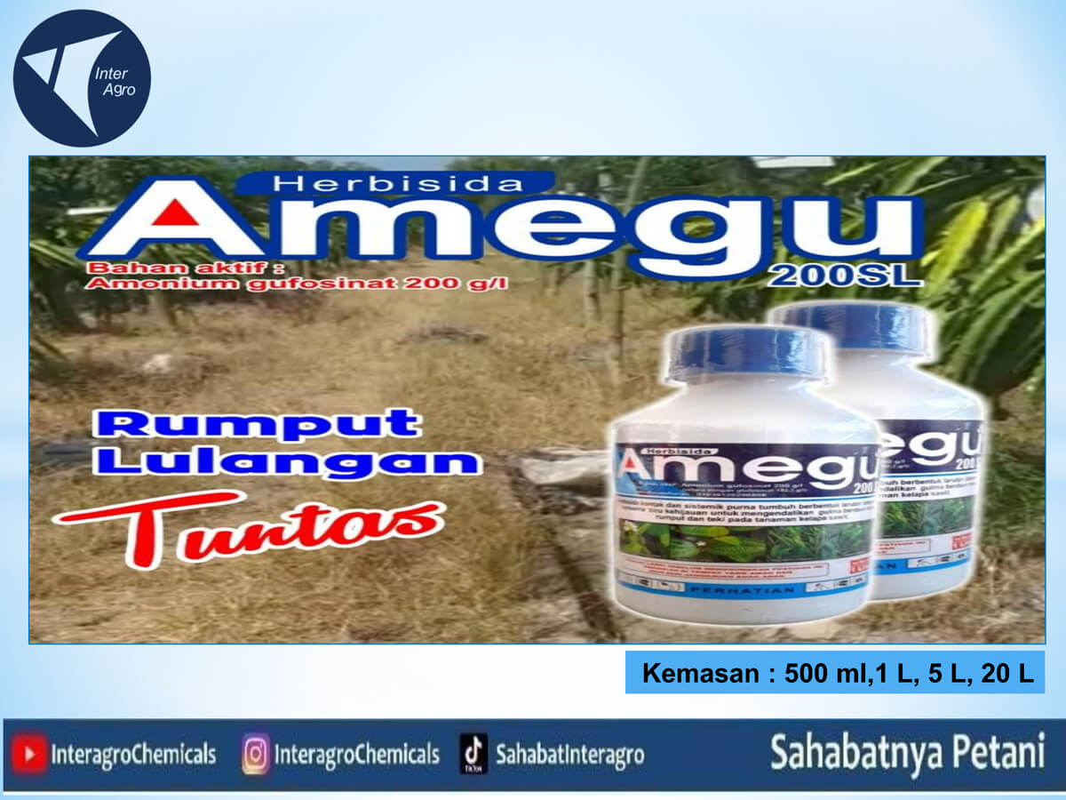 1. Amegu 200 Slpng Page1