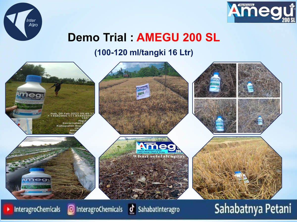 1. Amegu 200 Slpng Page10
