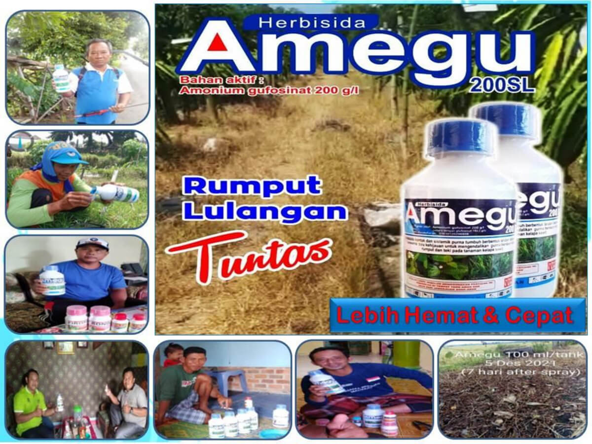 1. Amegu 200 Slpng Page11