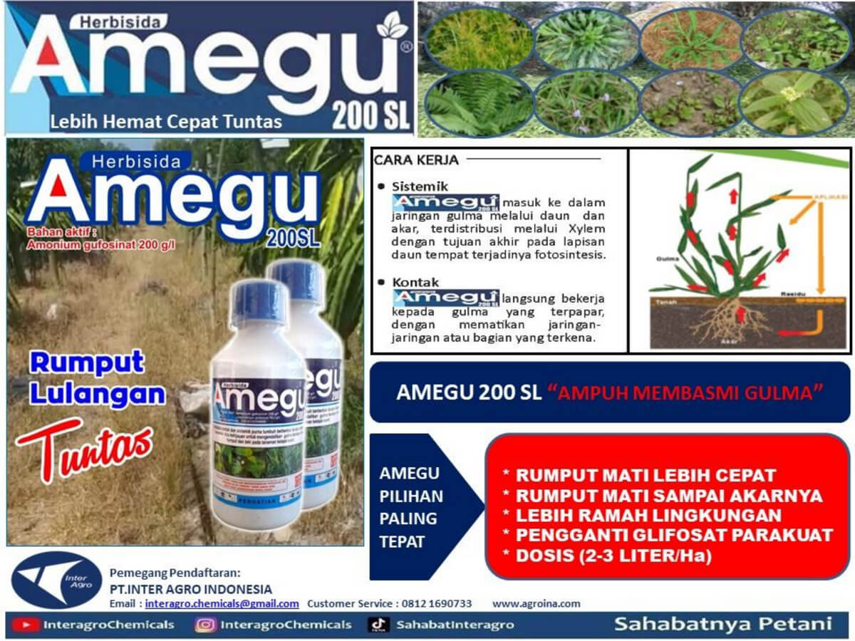 1. Amegu 200 Slpng Page12