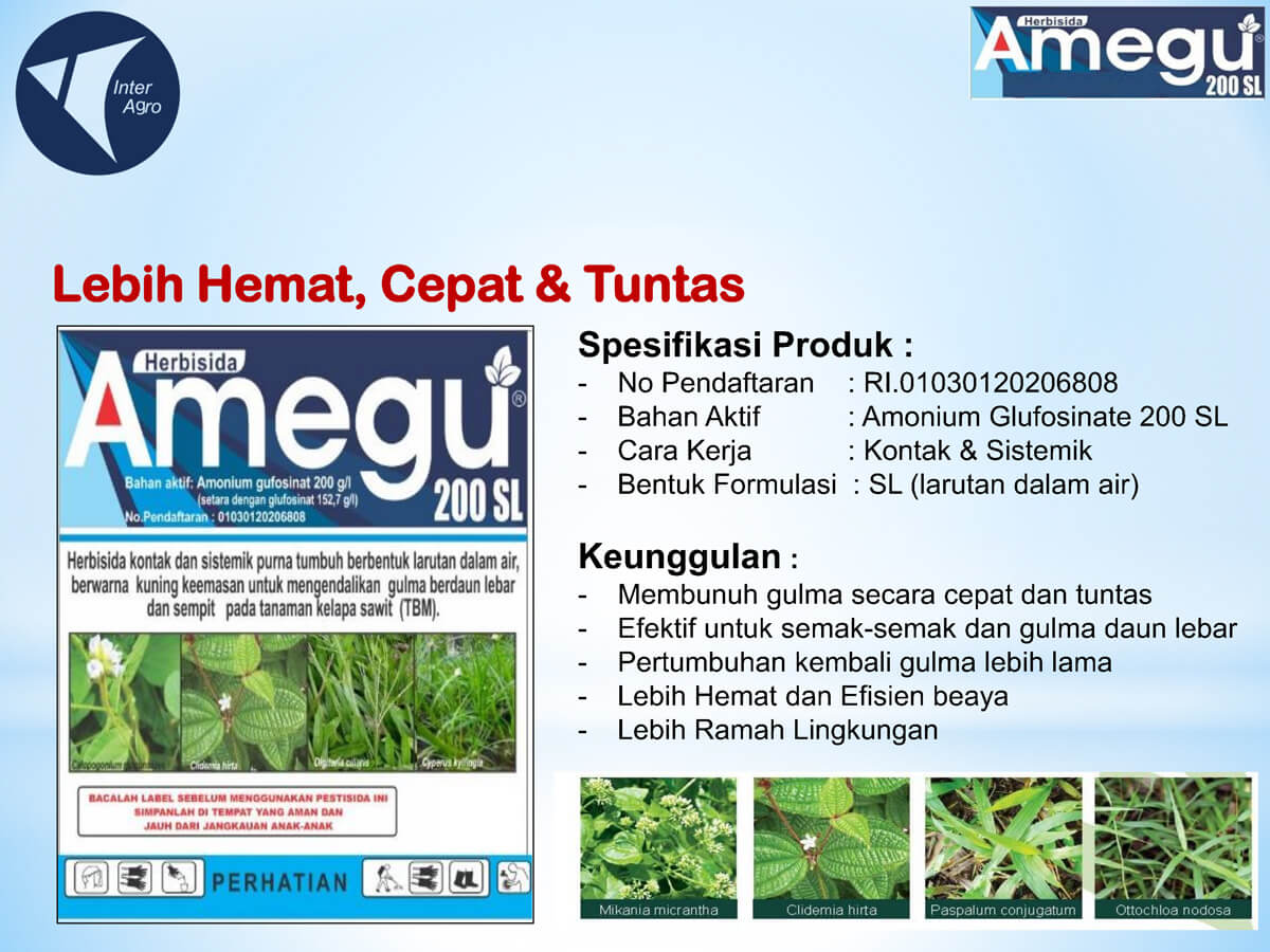 1. Amegu 200 Slpng Page2