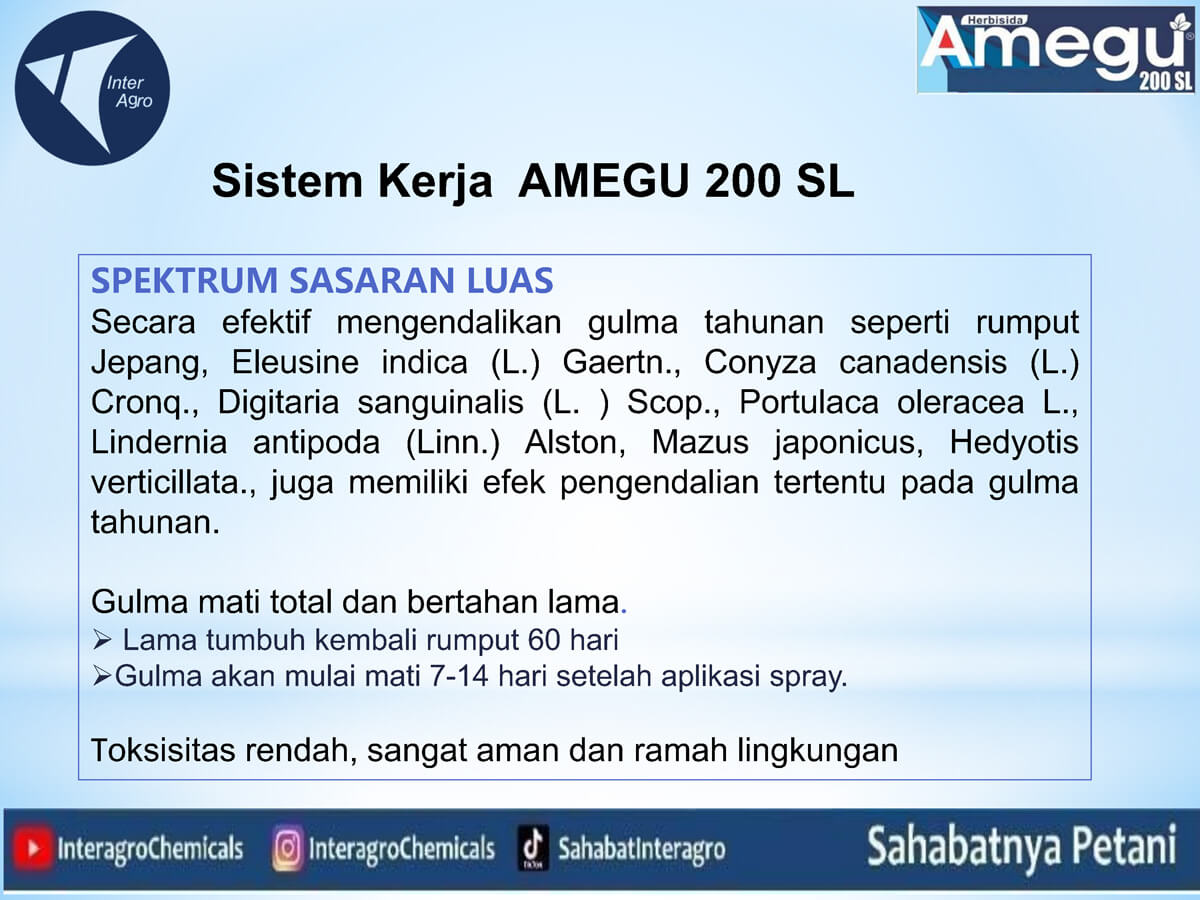 1. Amegu 200 Slpng Page5