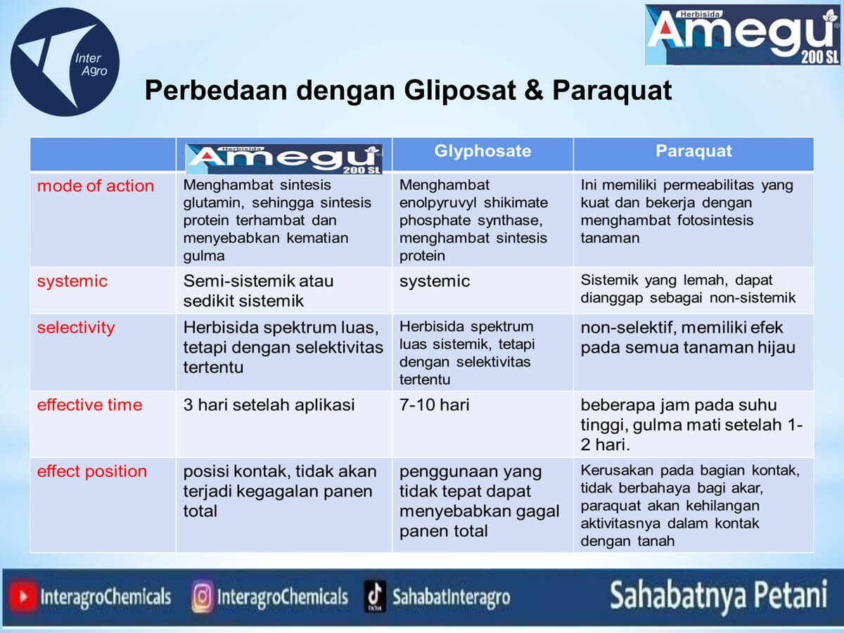 1. Amegu 200 Slpng Page6