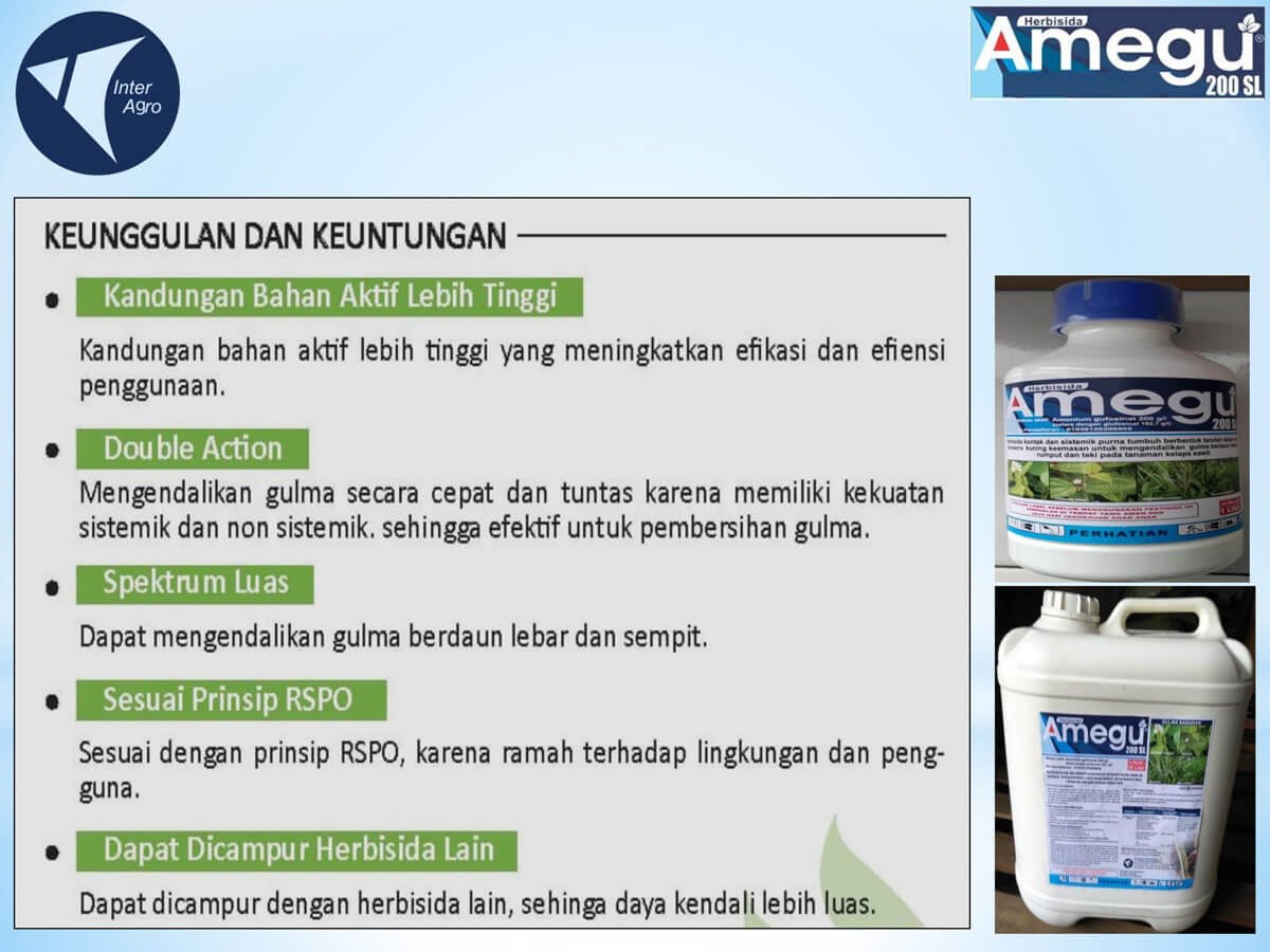 1. Amegu 200 Slpng Page8