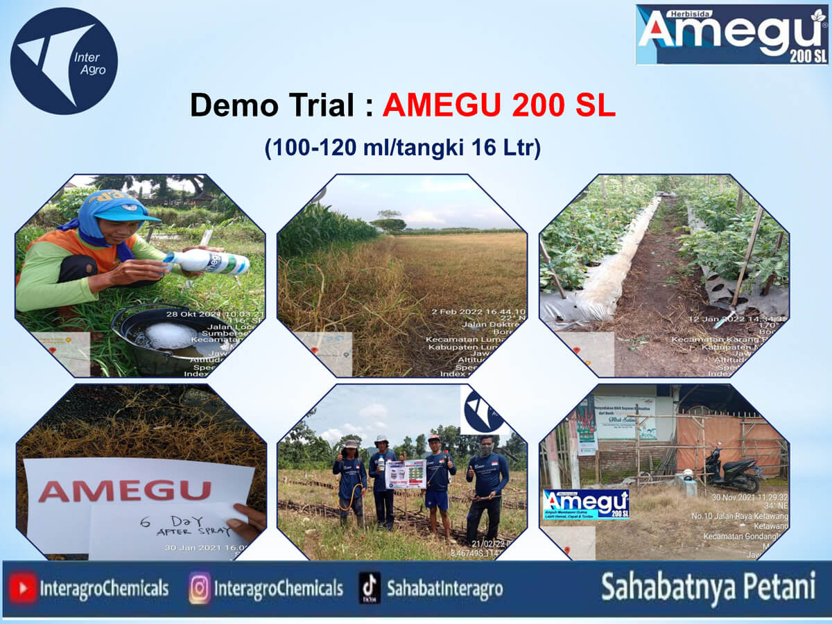 1. Amegu 200 Slpng Page9