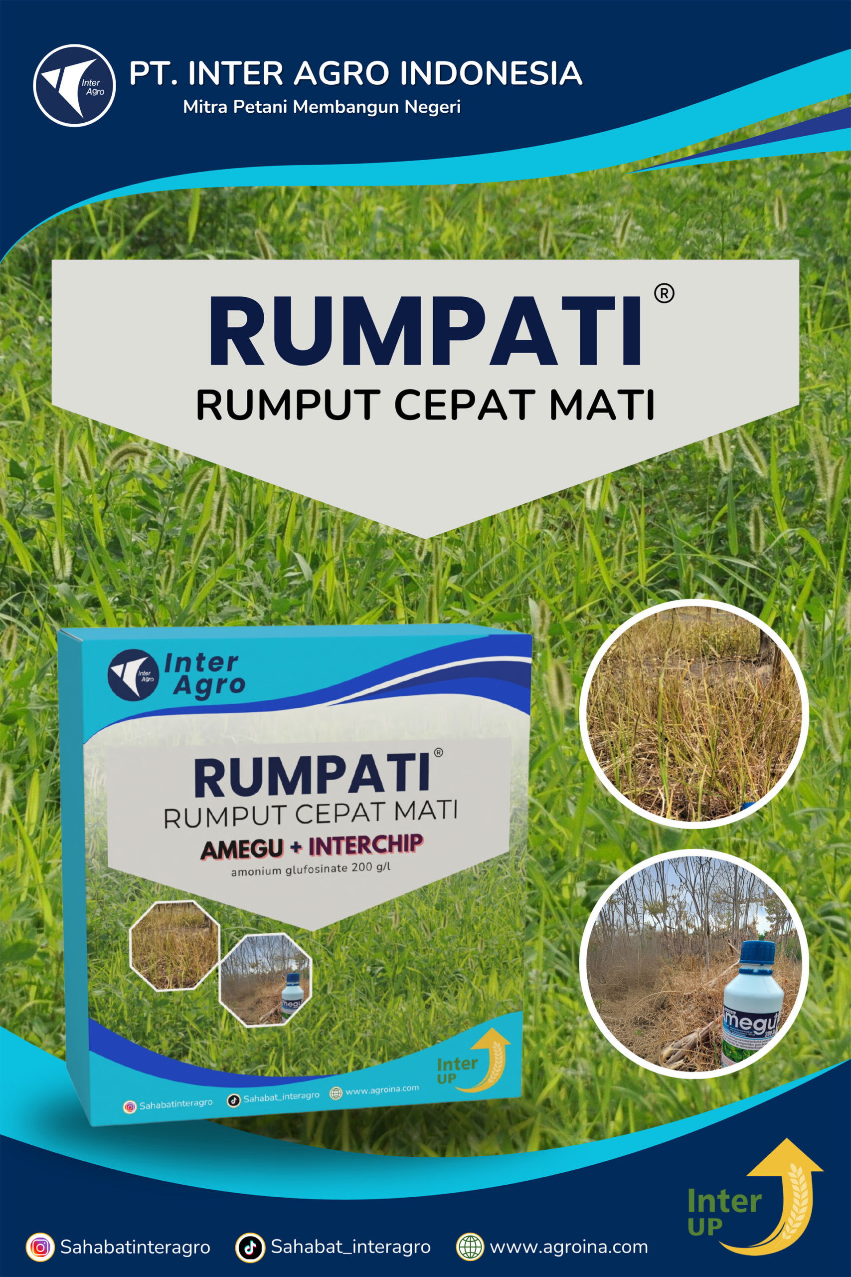 1.1 Paket Rumpati 副本