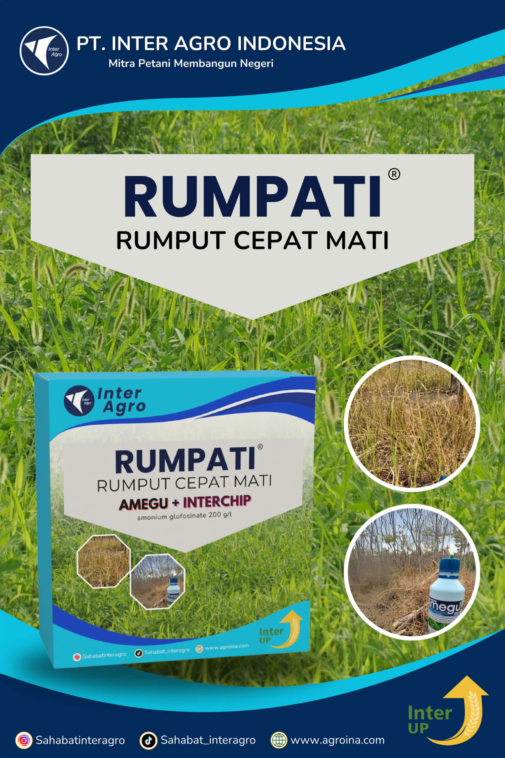 1.1 Paket Rumpati 副本