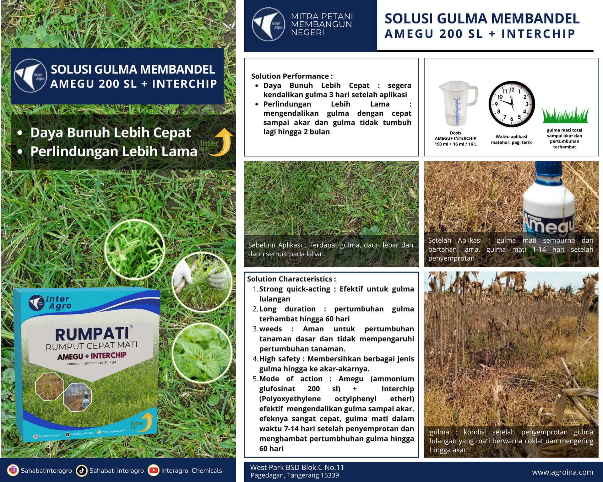 1.2 Solusi Gulma