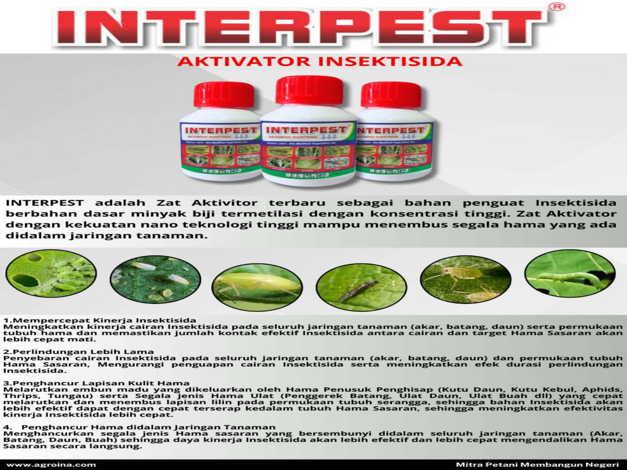10. Interpestjpg Page1
