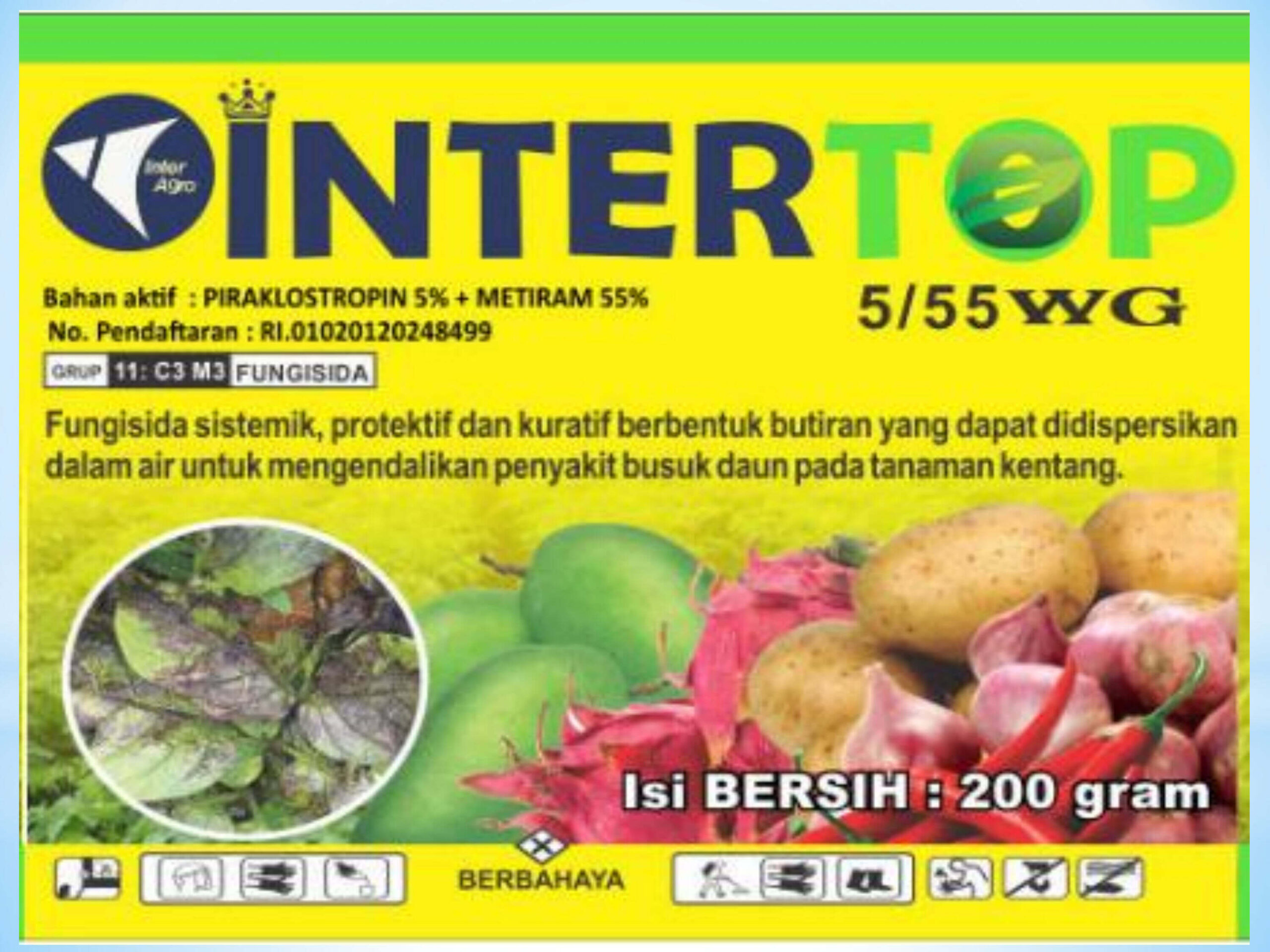 11. Intertopjpg Page1
