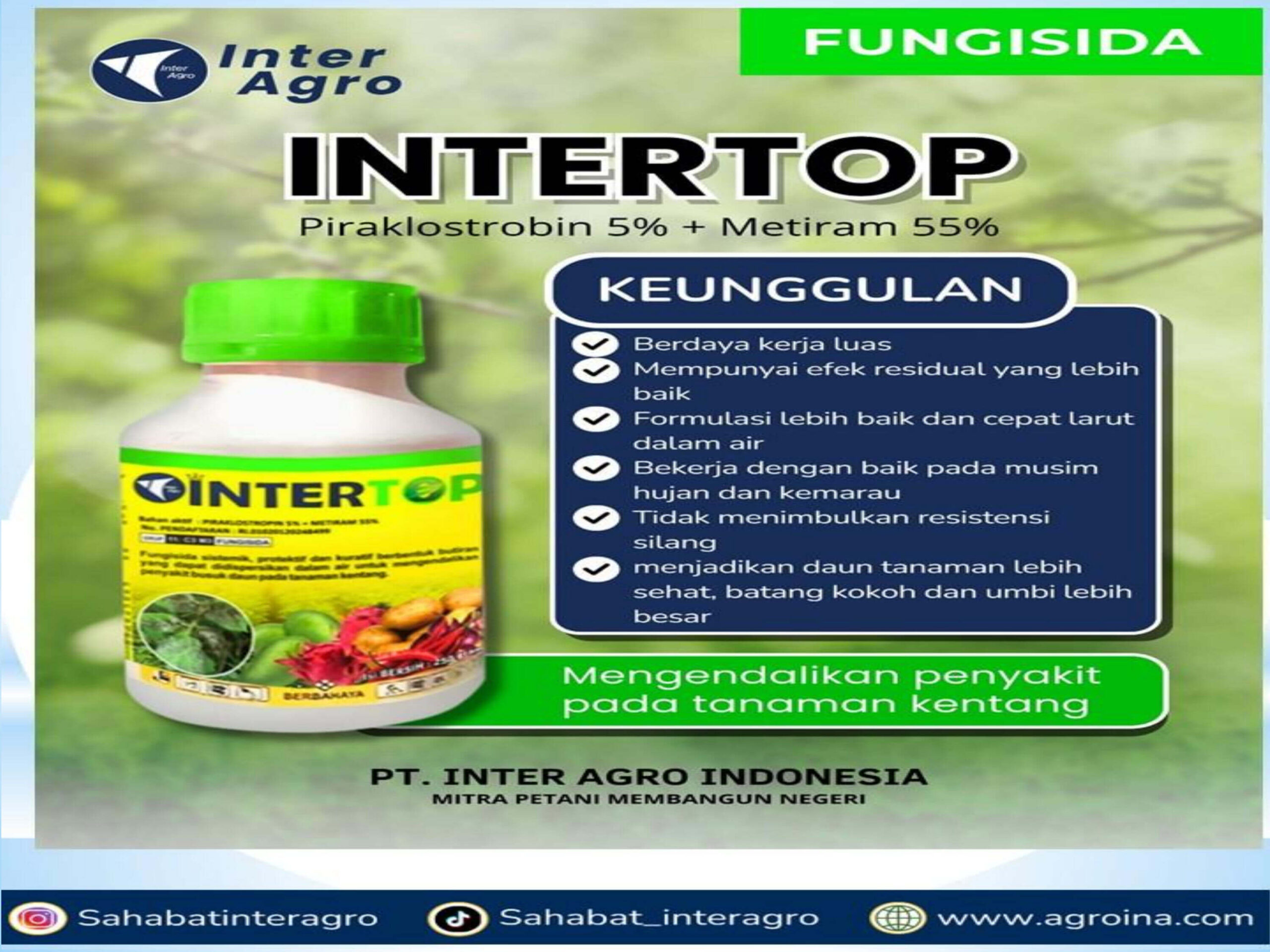 11. Intertopjpg Page2