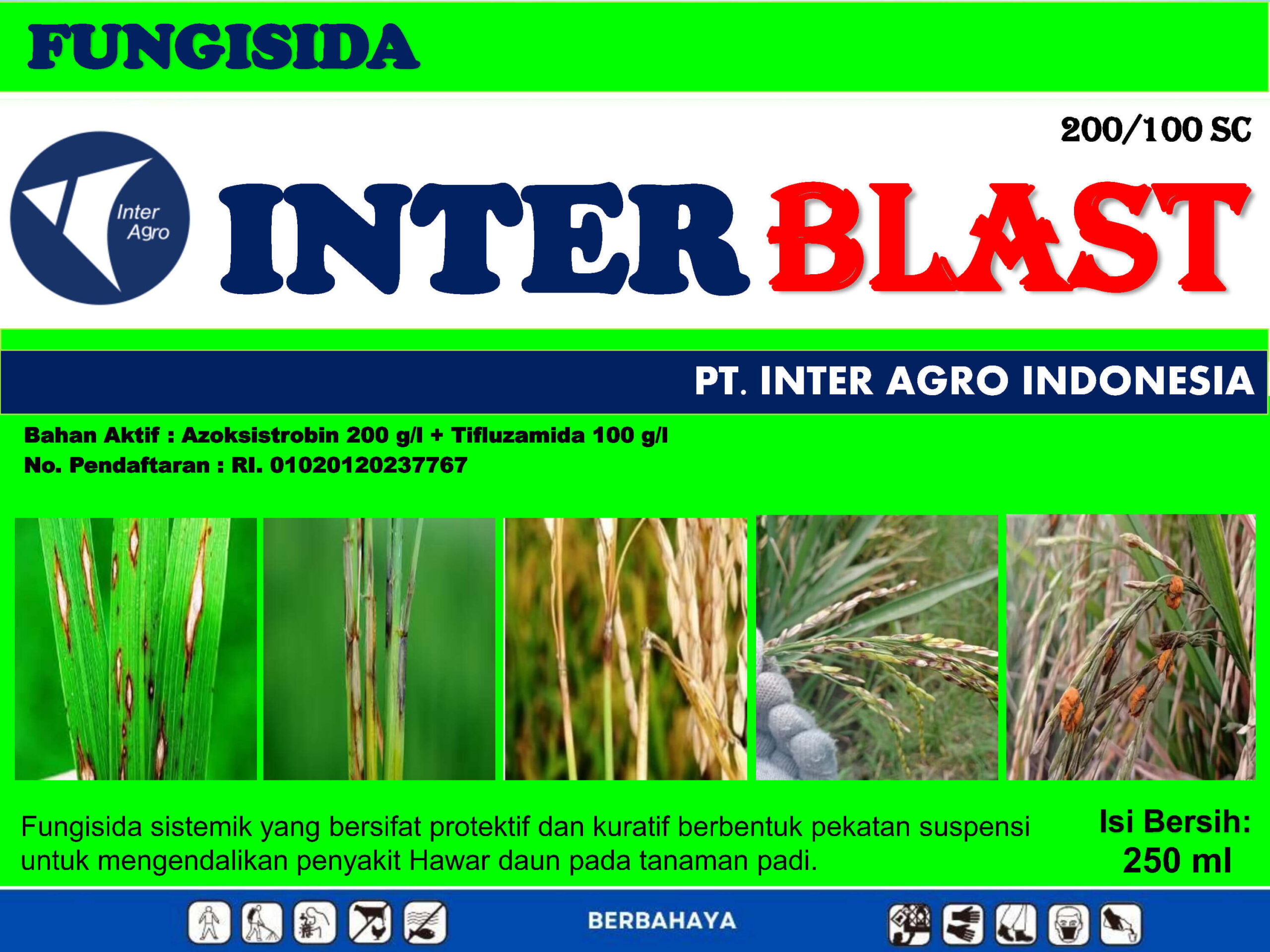 12. Interblastjpg Page1