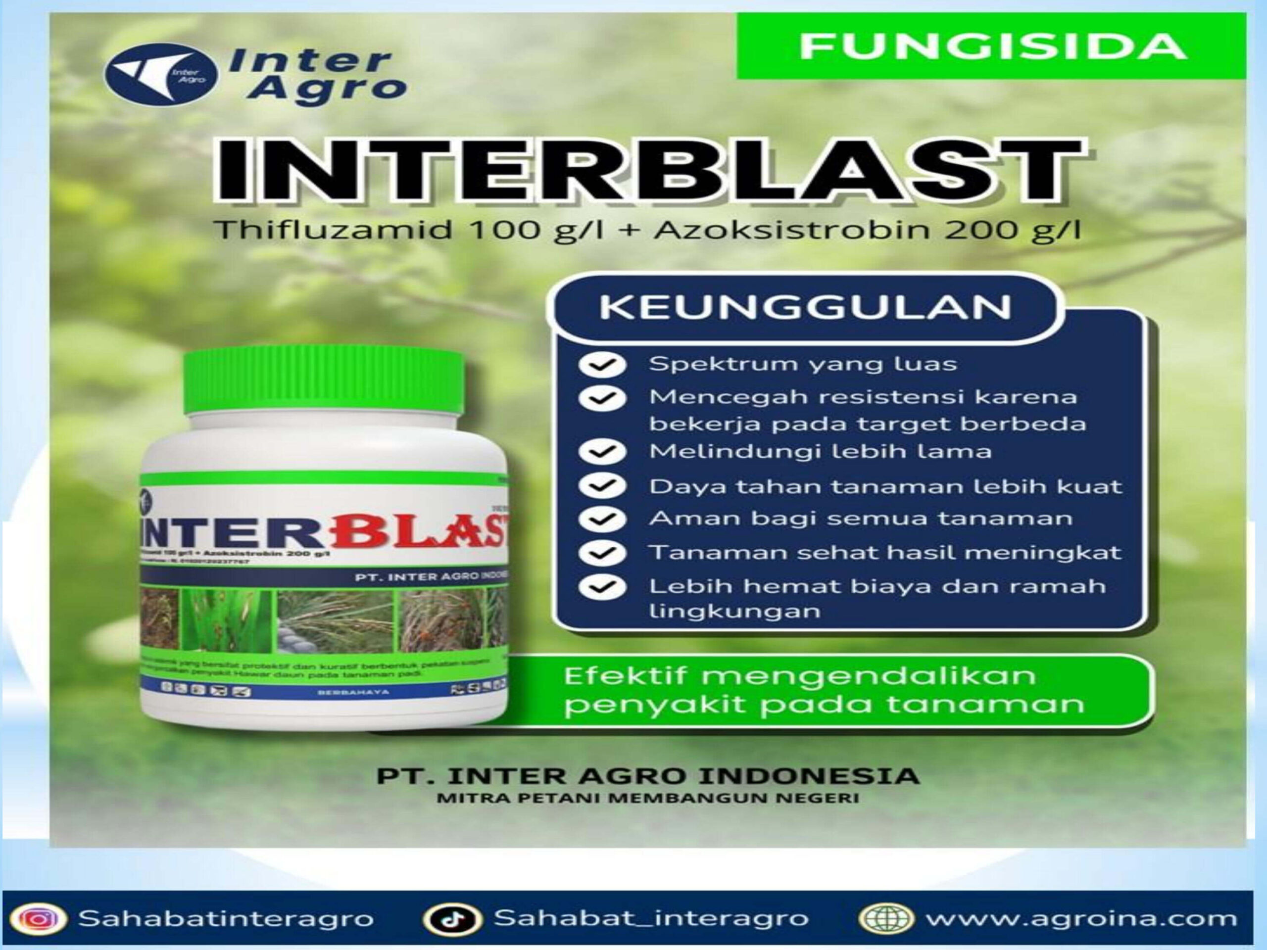 12. Interblastjpg Page3