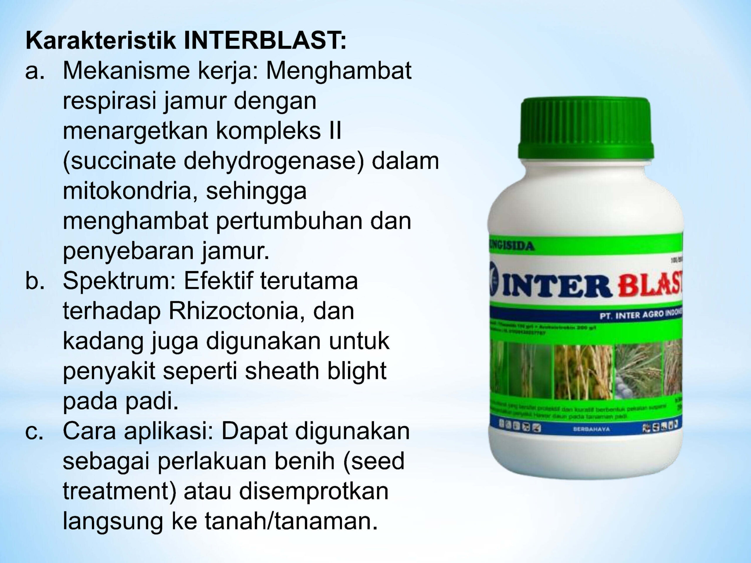 12. Interblastjpg Page4