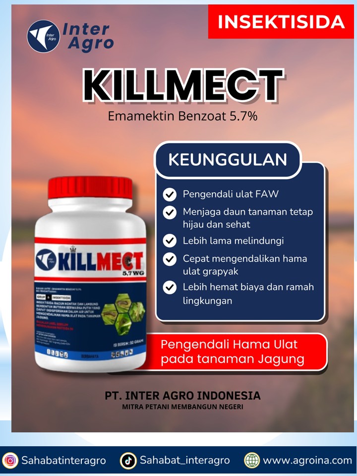 14. Killmect