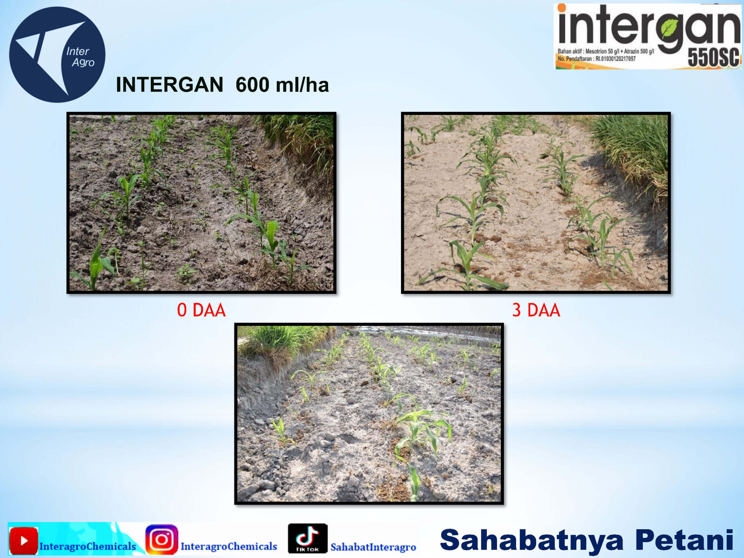 2. Intergan 550 Scjpg Page10