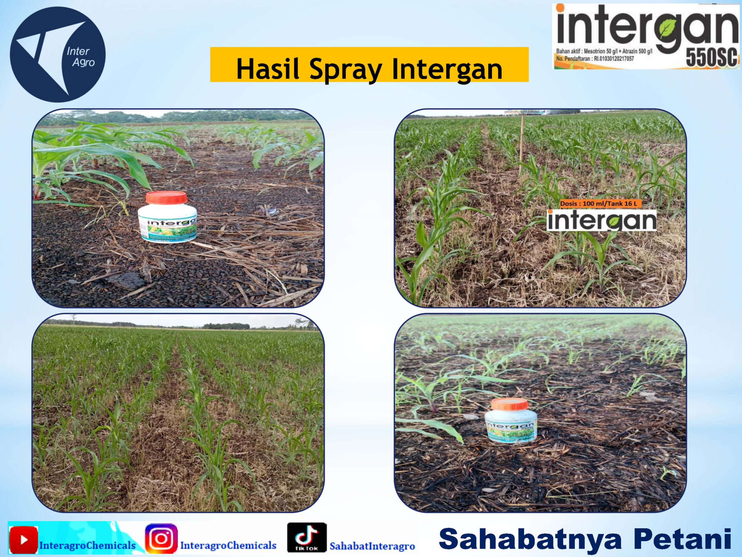 2. Intergan 550 Scjpg Page11