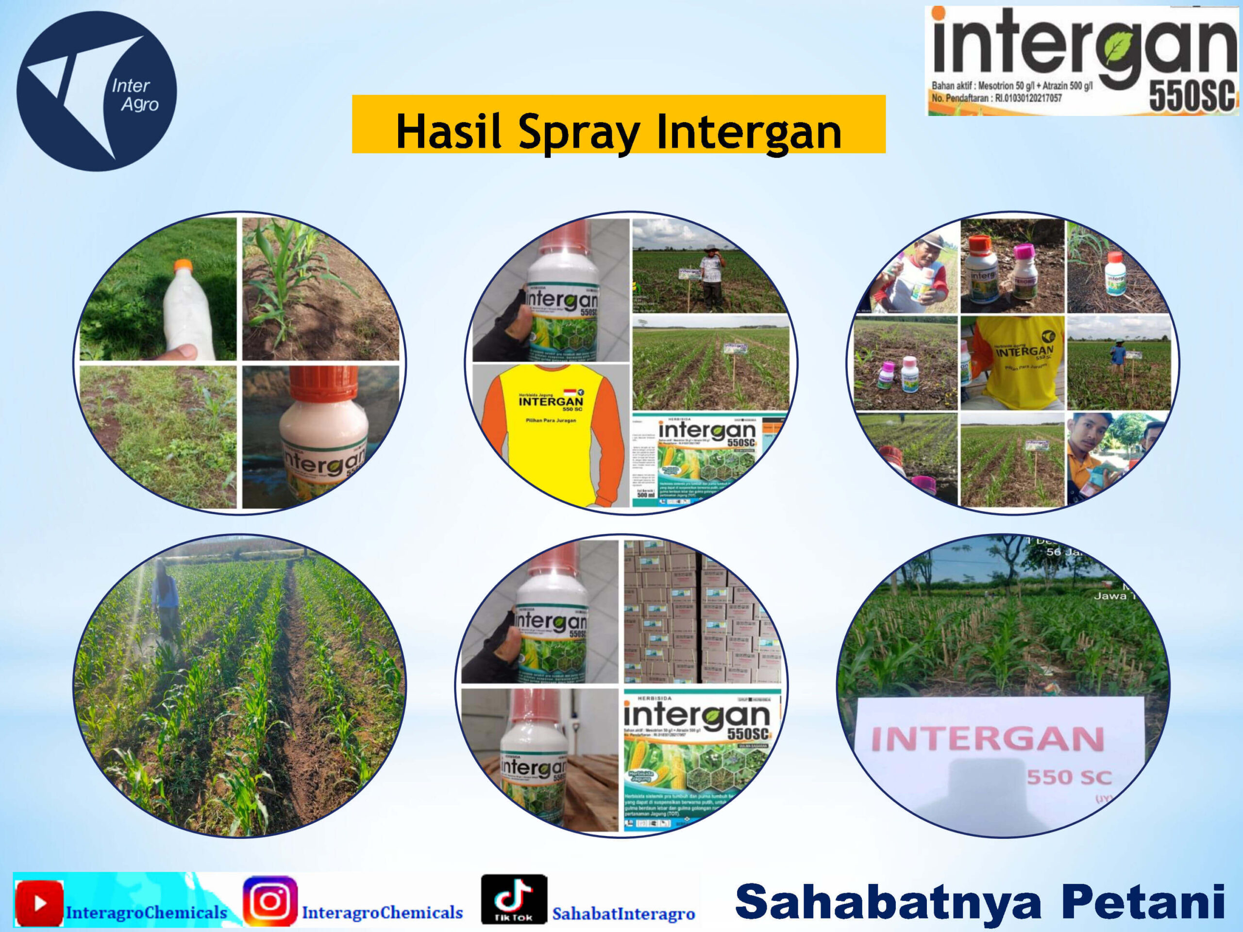 2. Intergan 550 Scjpg Page12