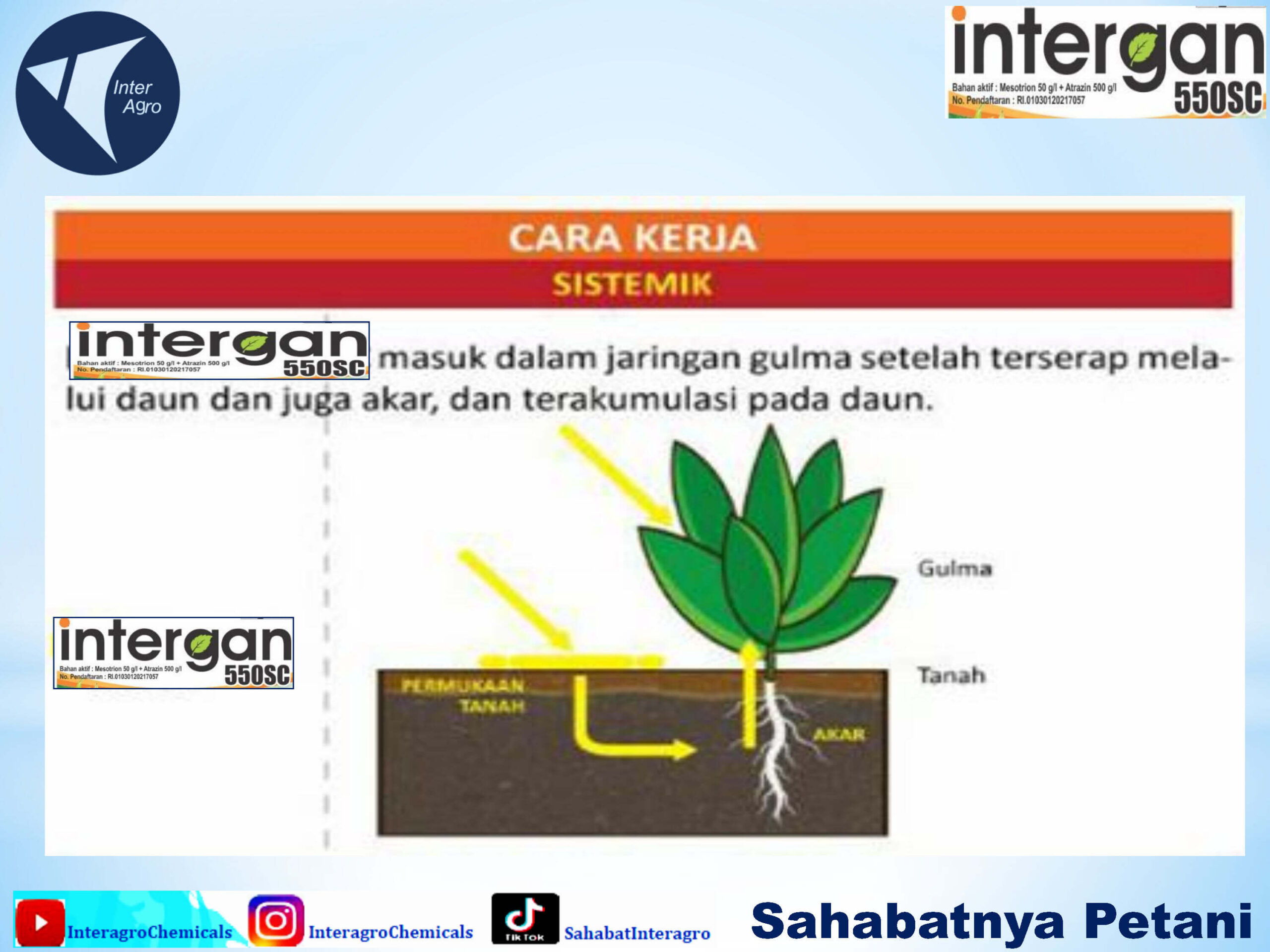 2. Intergan 550 Scjpg Page5