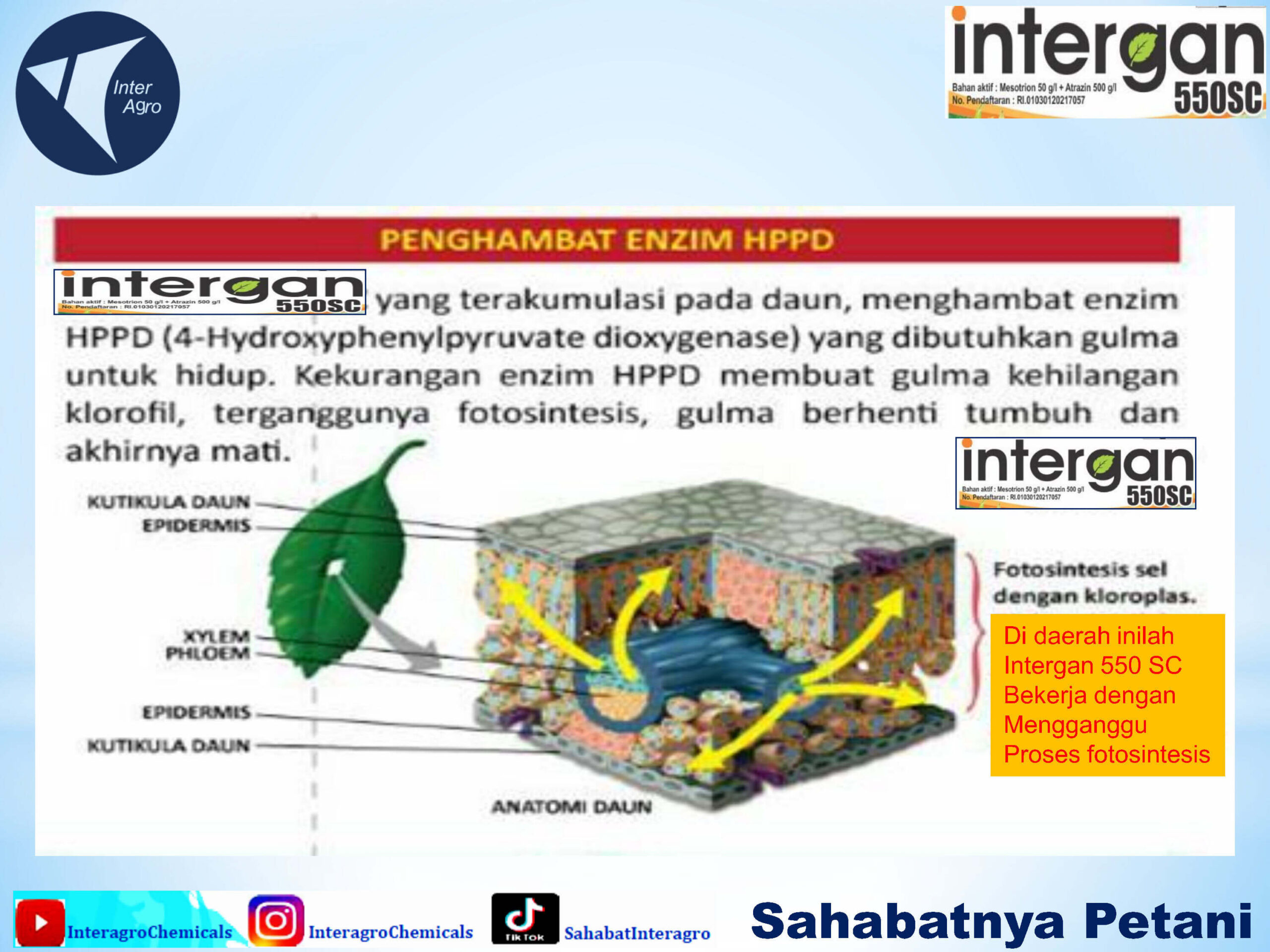 2. Intergan 550 Scjpg Page6