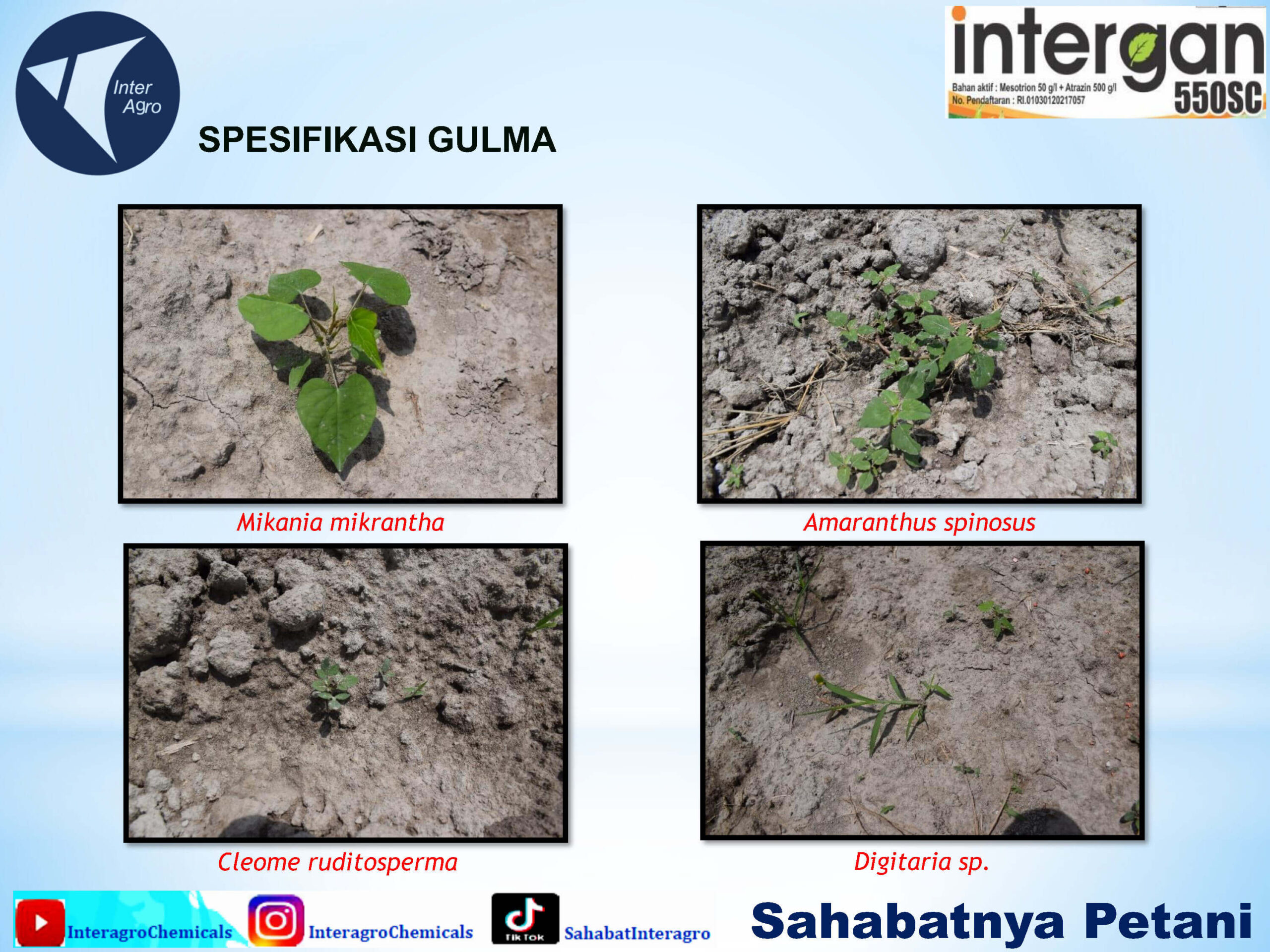 2. Intergan 550 Scjpg Page9