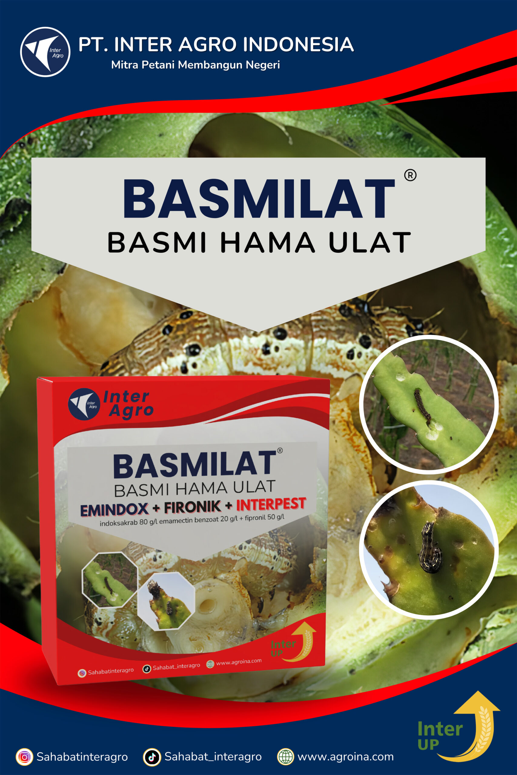 2.1 Paket Basmilat Buah Naga 副本