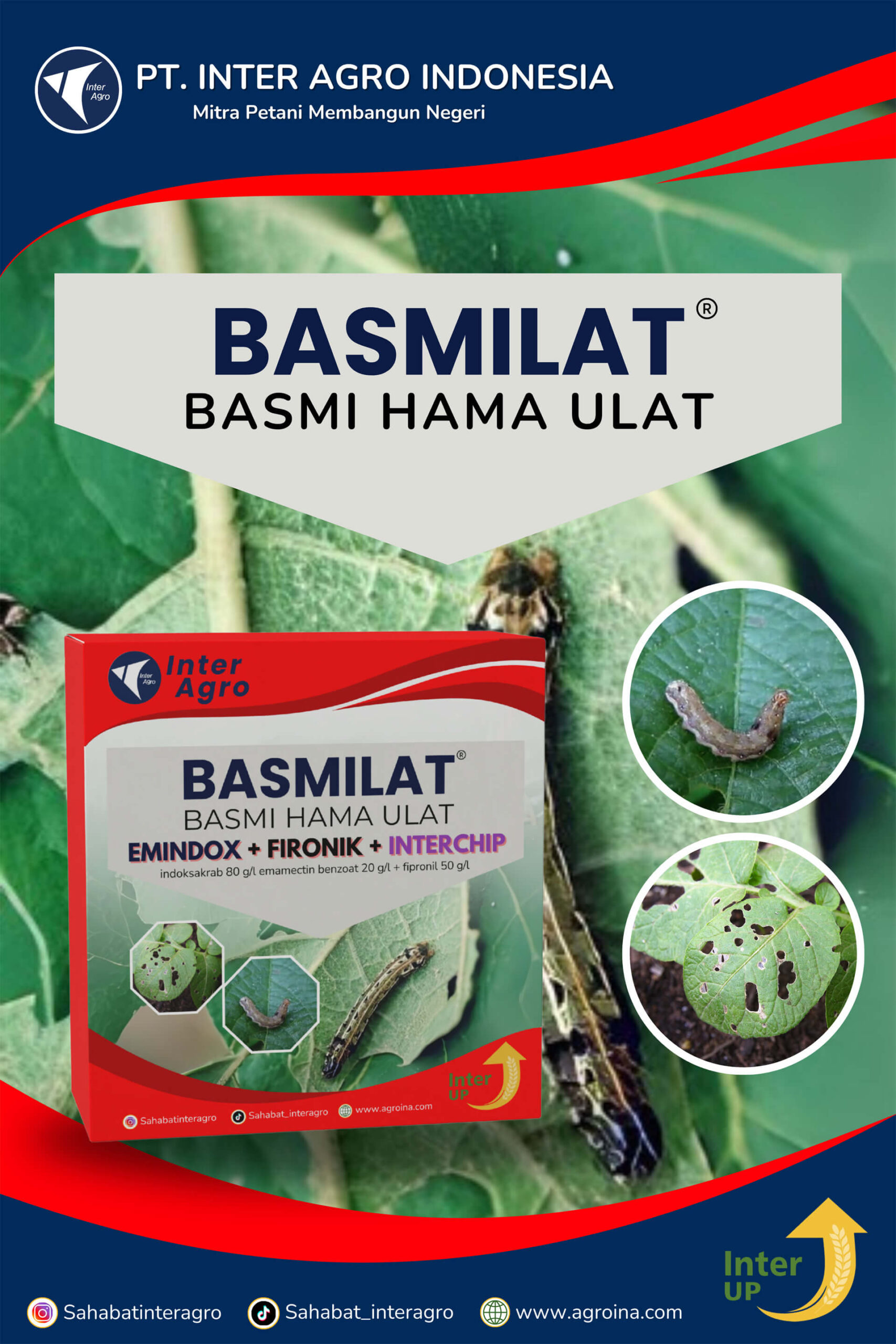 2.1 Paket Basmilat Kentang 副本