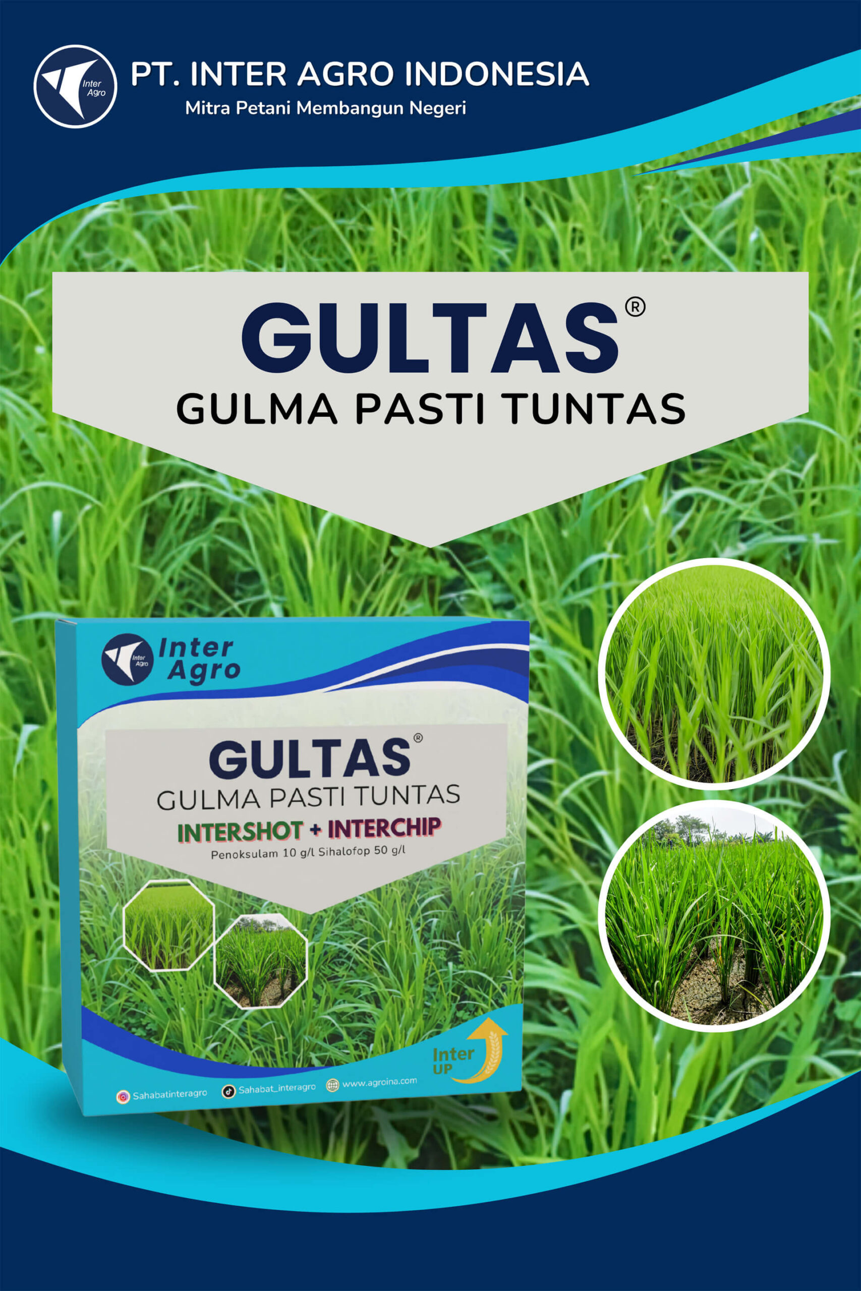 2.1 Paket Gultas 副本