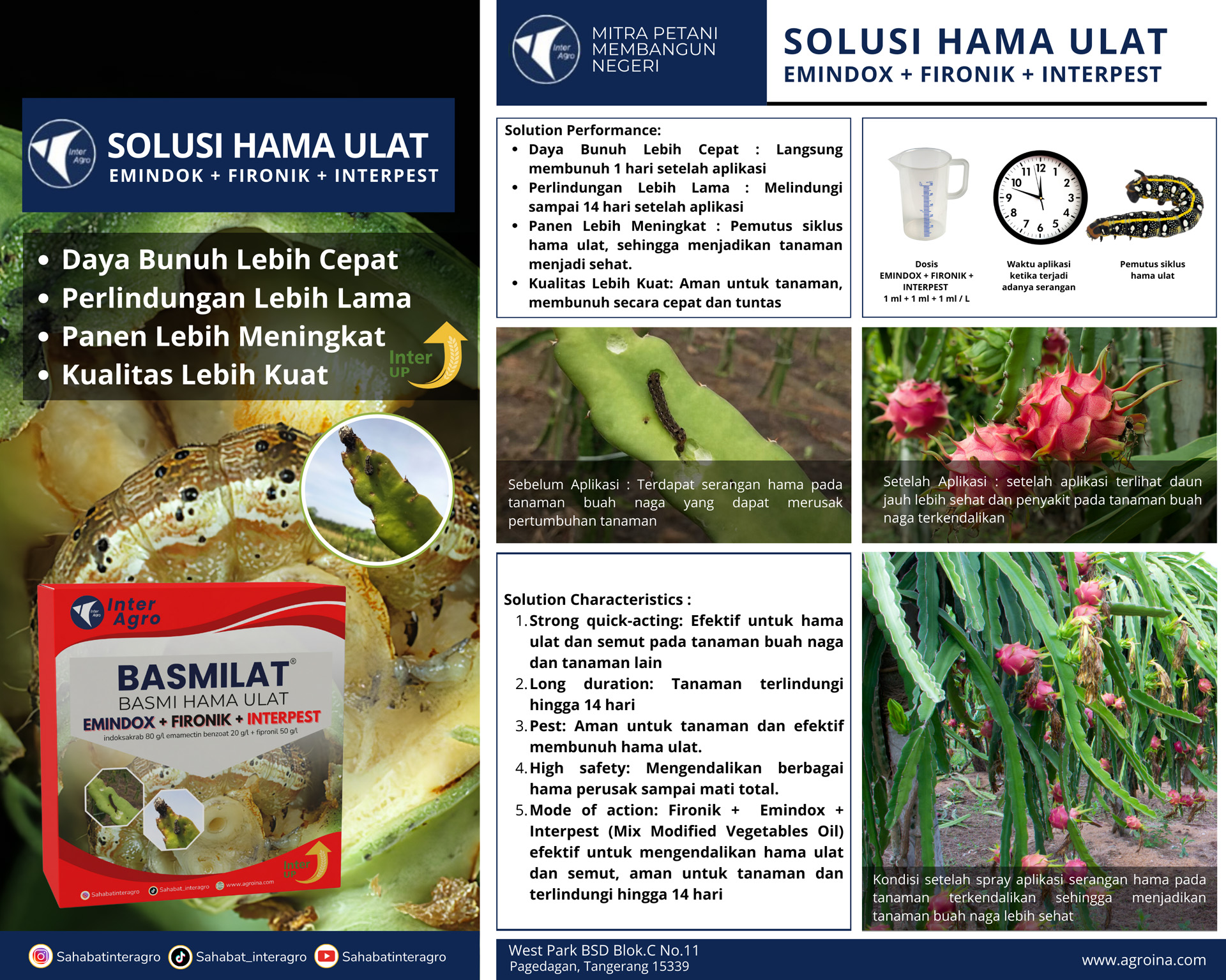 2.2 Buah Naga Hama Ulat Dan Semut Emindox+fironik+interpest