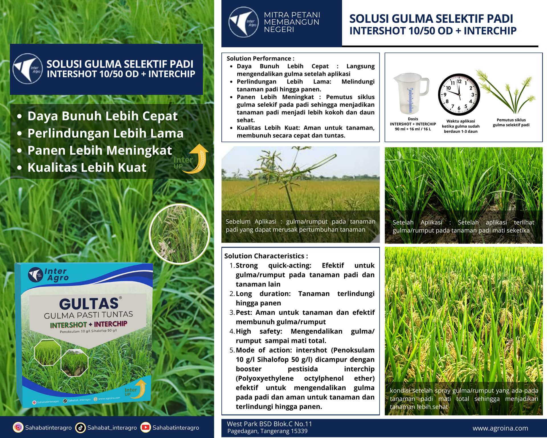 2.2 Padi Solusi Gulma Selektif Intershot+interchip