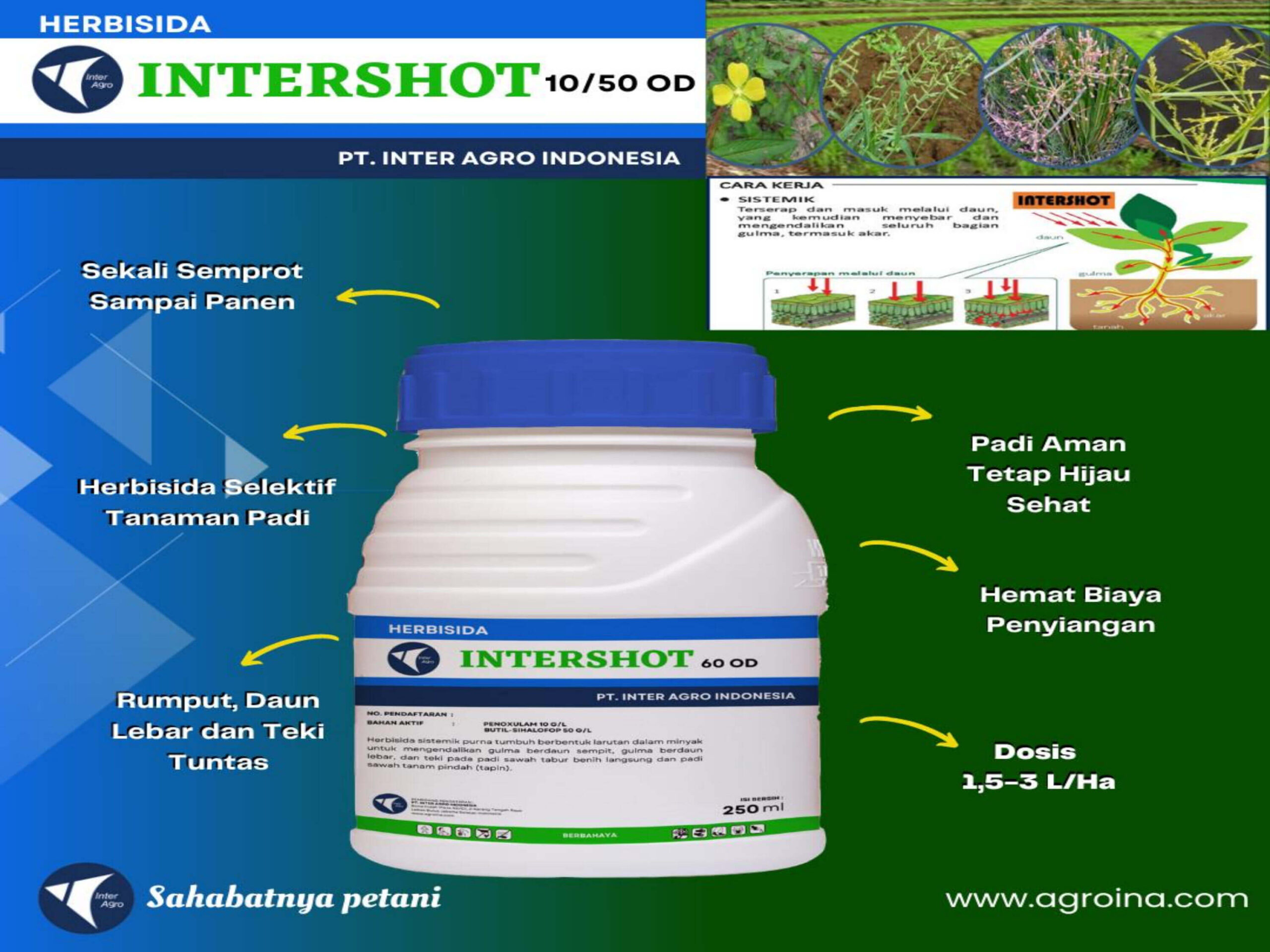 3. Intershot 60 Odjpg Page4
