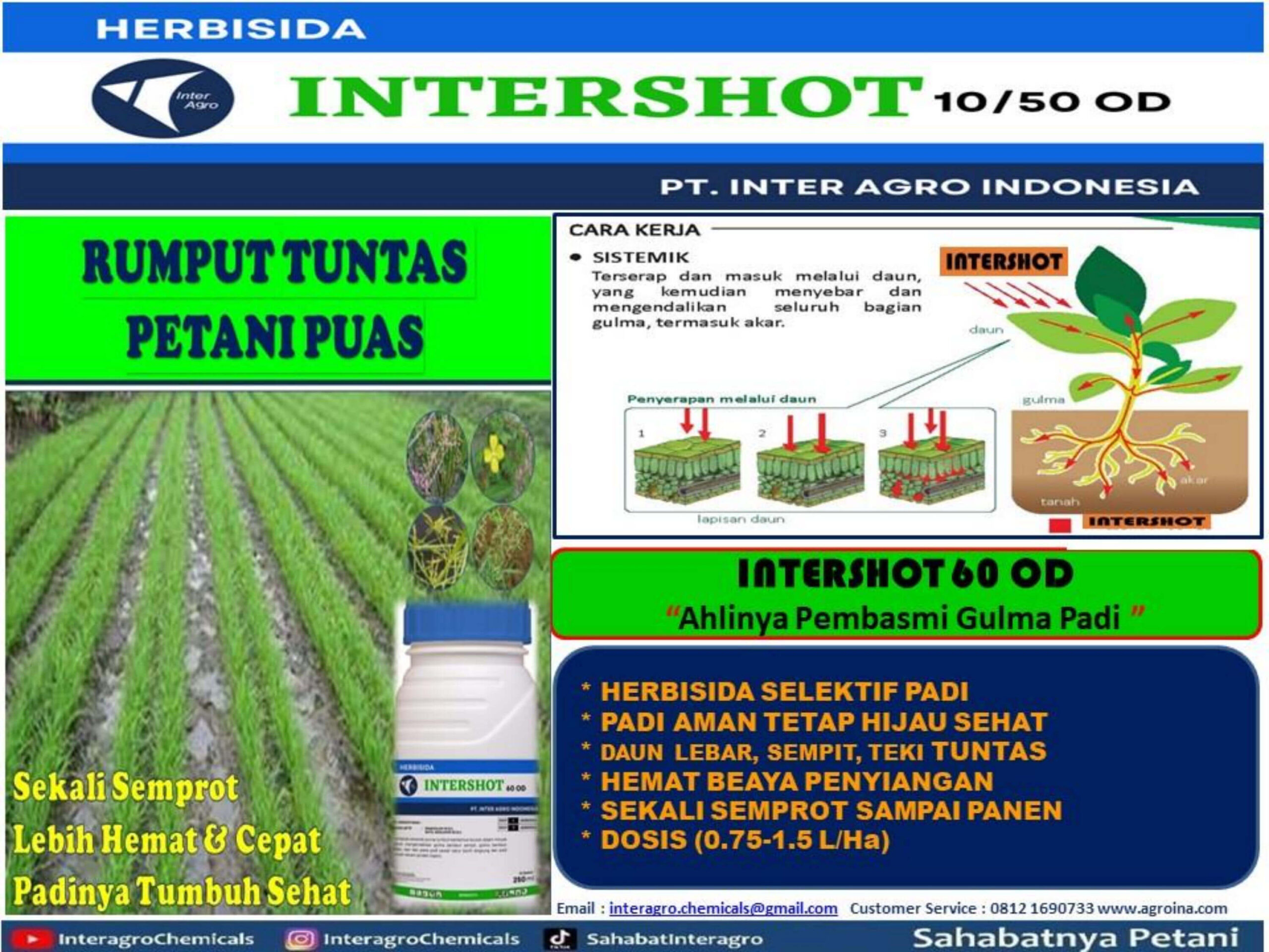 3. Intershot 60 Odjpg Page5
