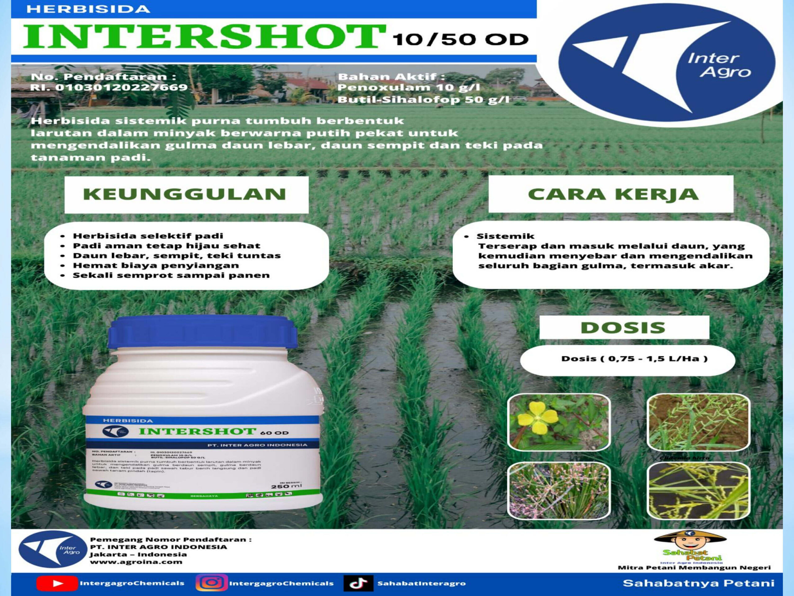 3. Intershot 60 Odjpg Page6
