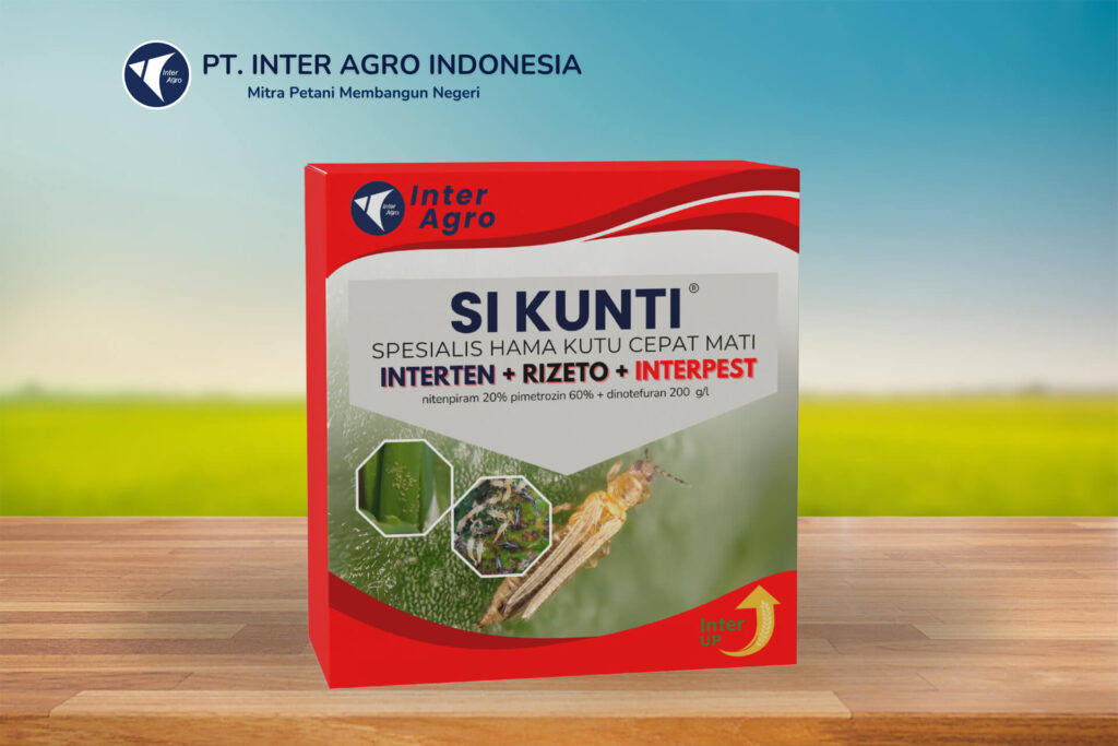 3.0 Si Kunti For Flowers Crysan