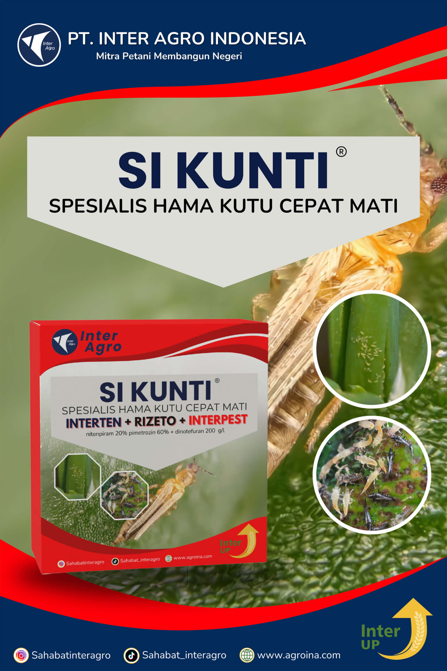 3.1 Paket Si Kunti Shallot 副本