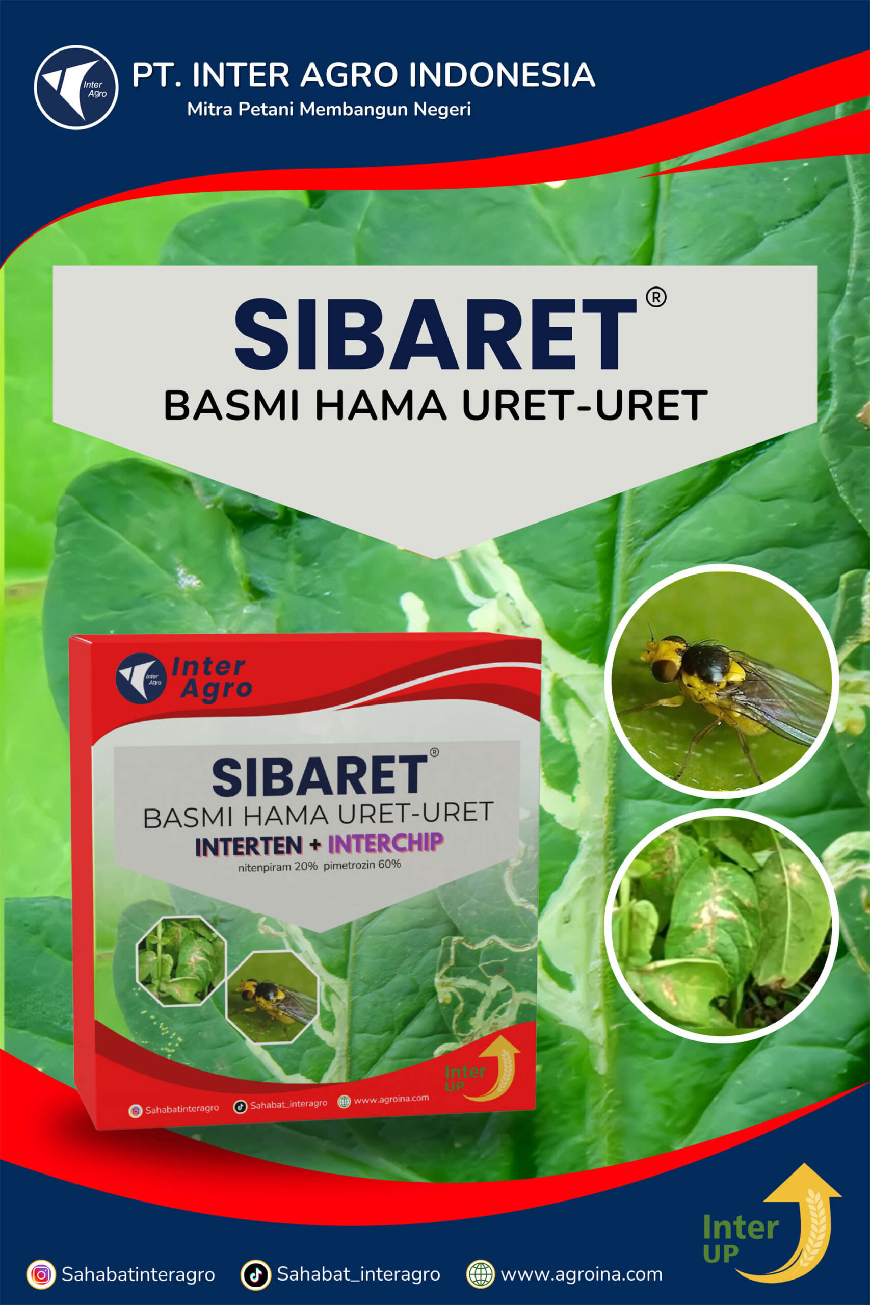 3.1 Paket Sibaret Kentang 副本