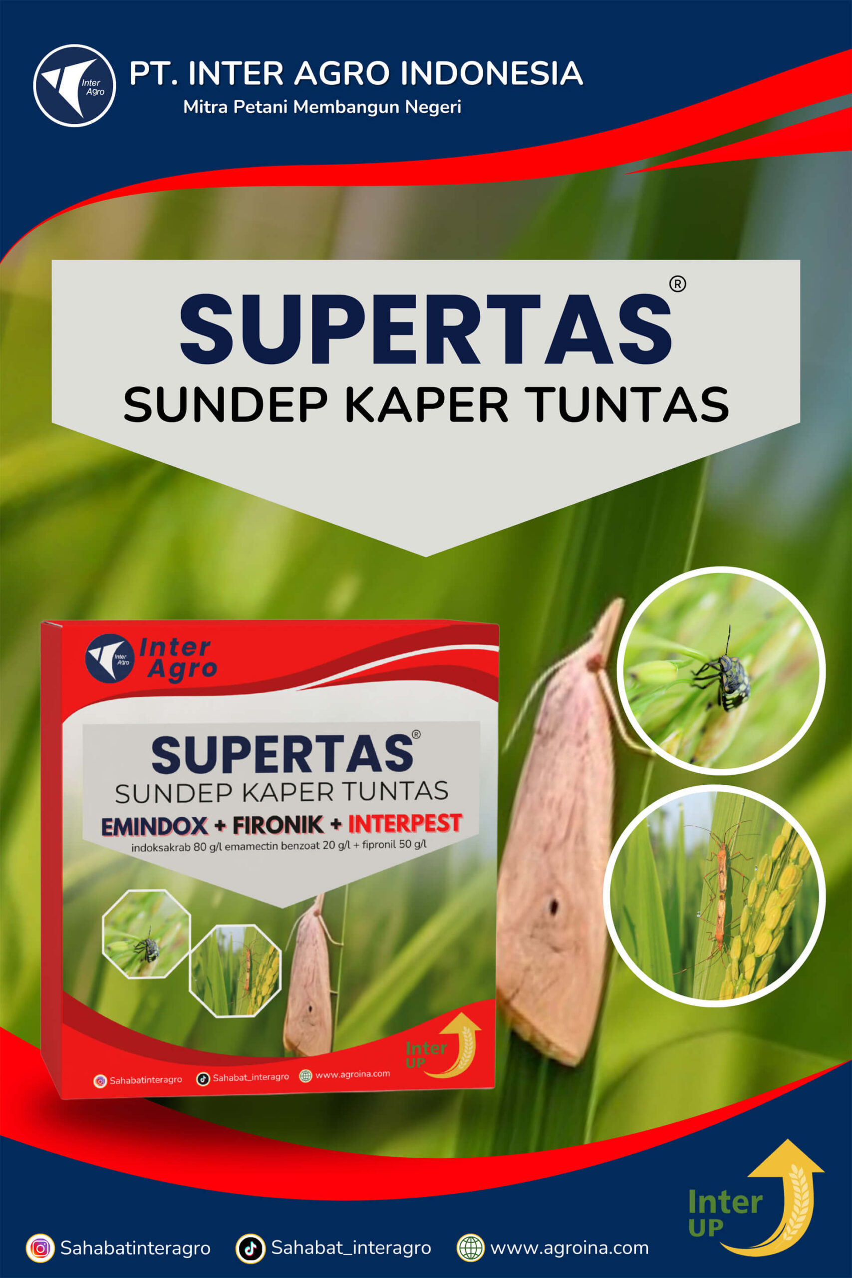 3.1 Paket Supertas 副本