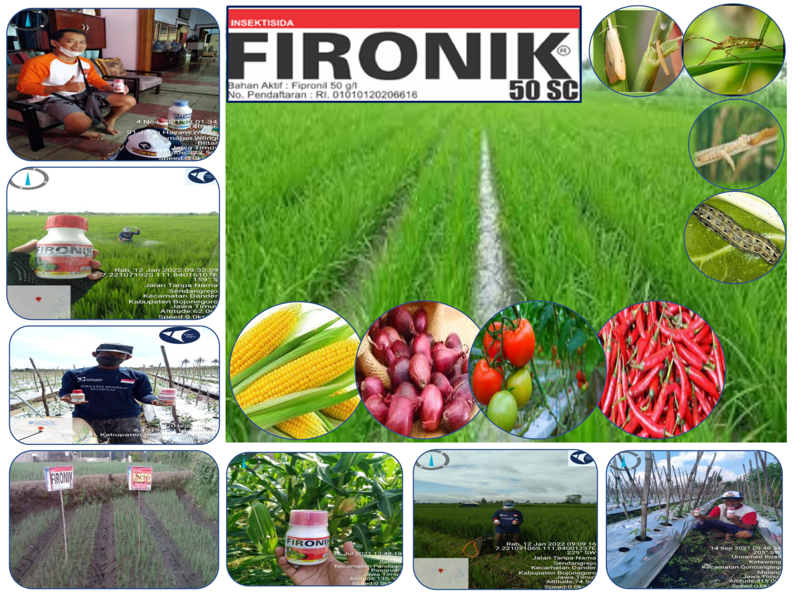 4. Fironik 50scjpg Page11