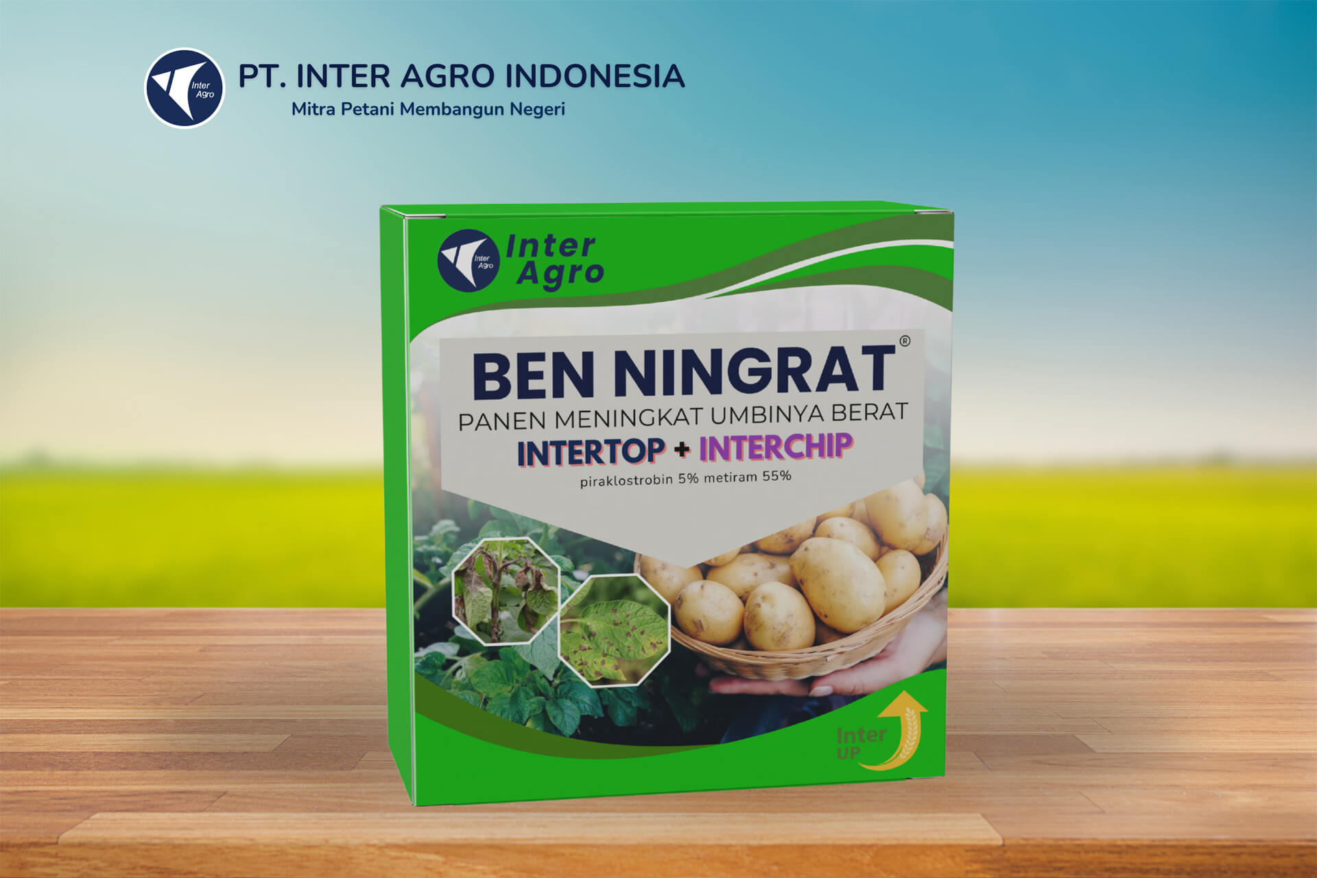 4.0二级封面 Ben Ningrat