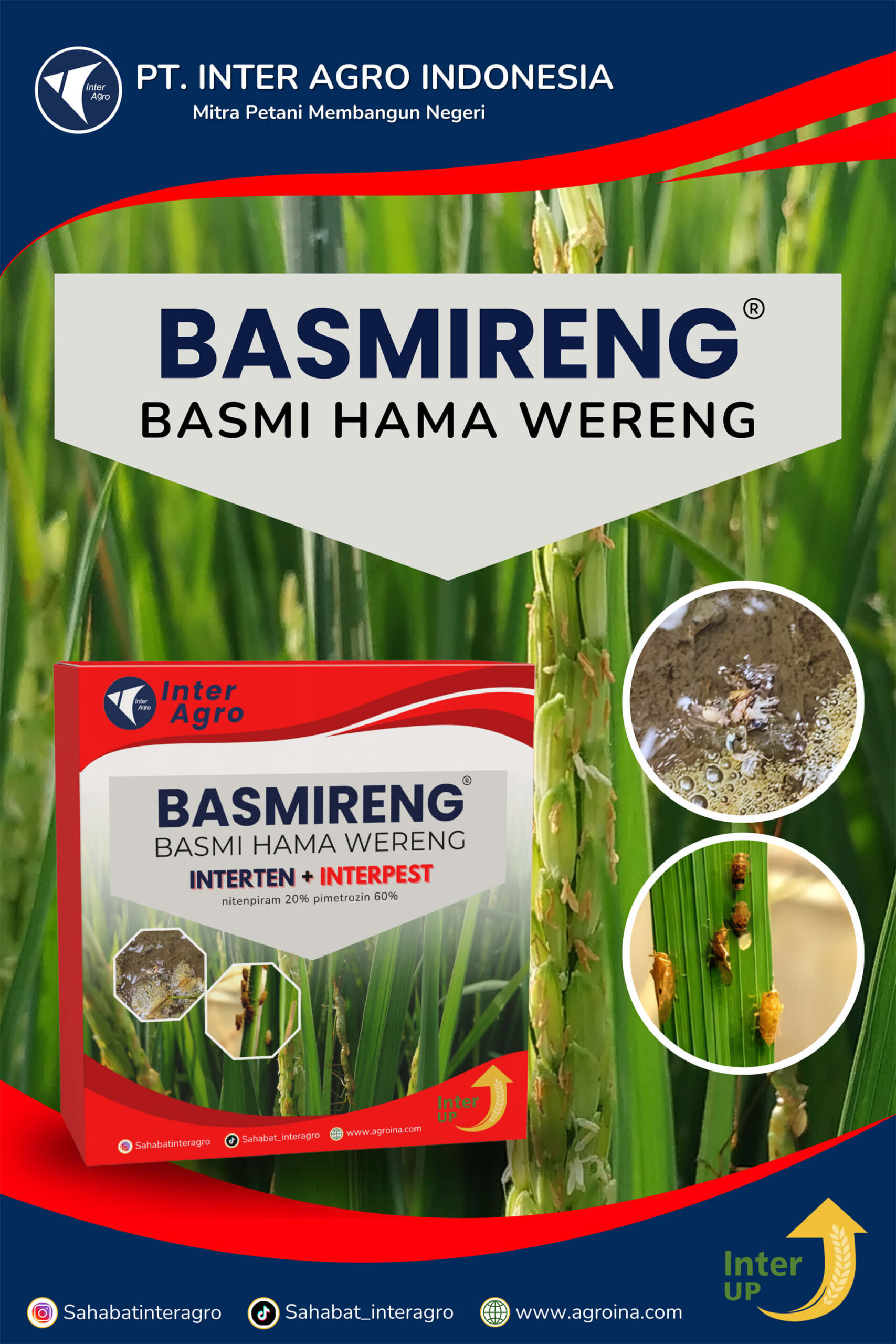 4.1 Paket Basmireng 副本