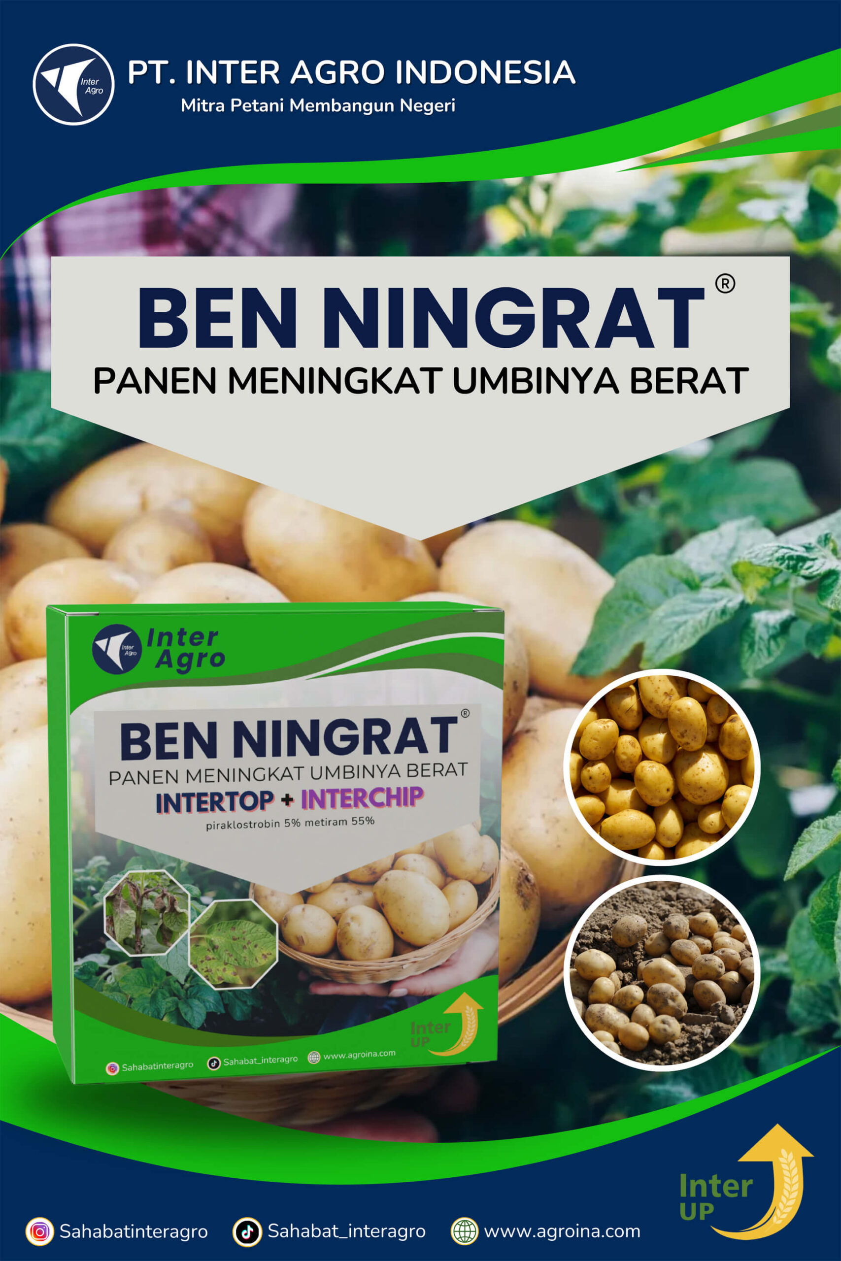 4.1 Paket Ben Ningrat Kentang 副本