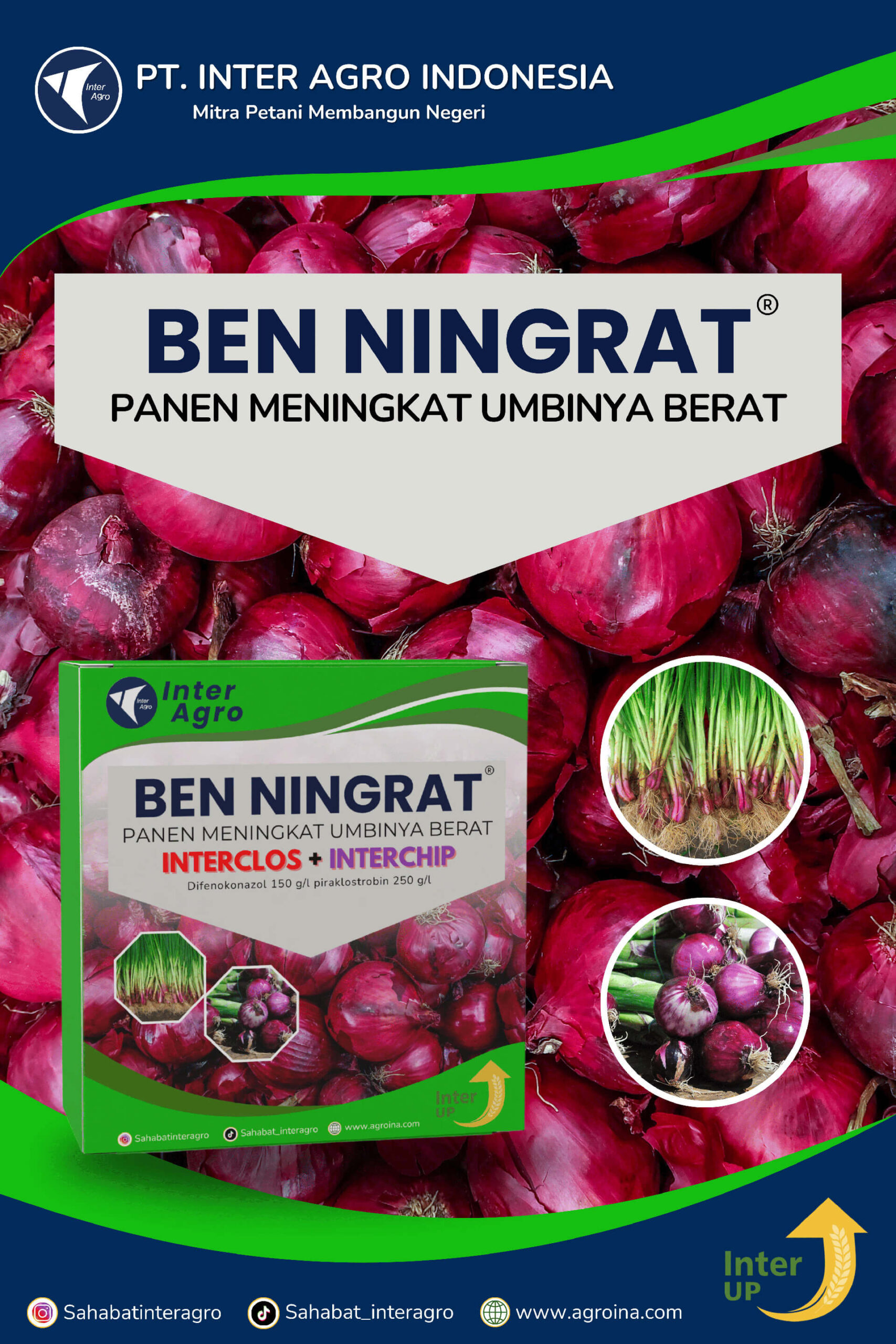 4.1 Paket Ben Ningrat Shallot 副本
