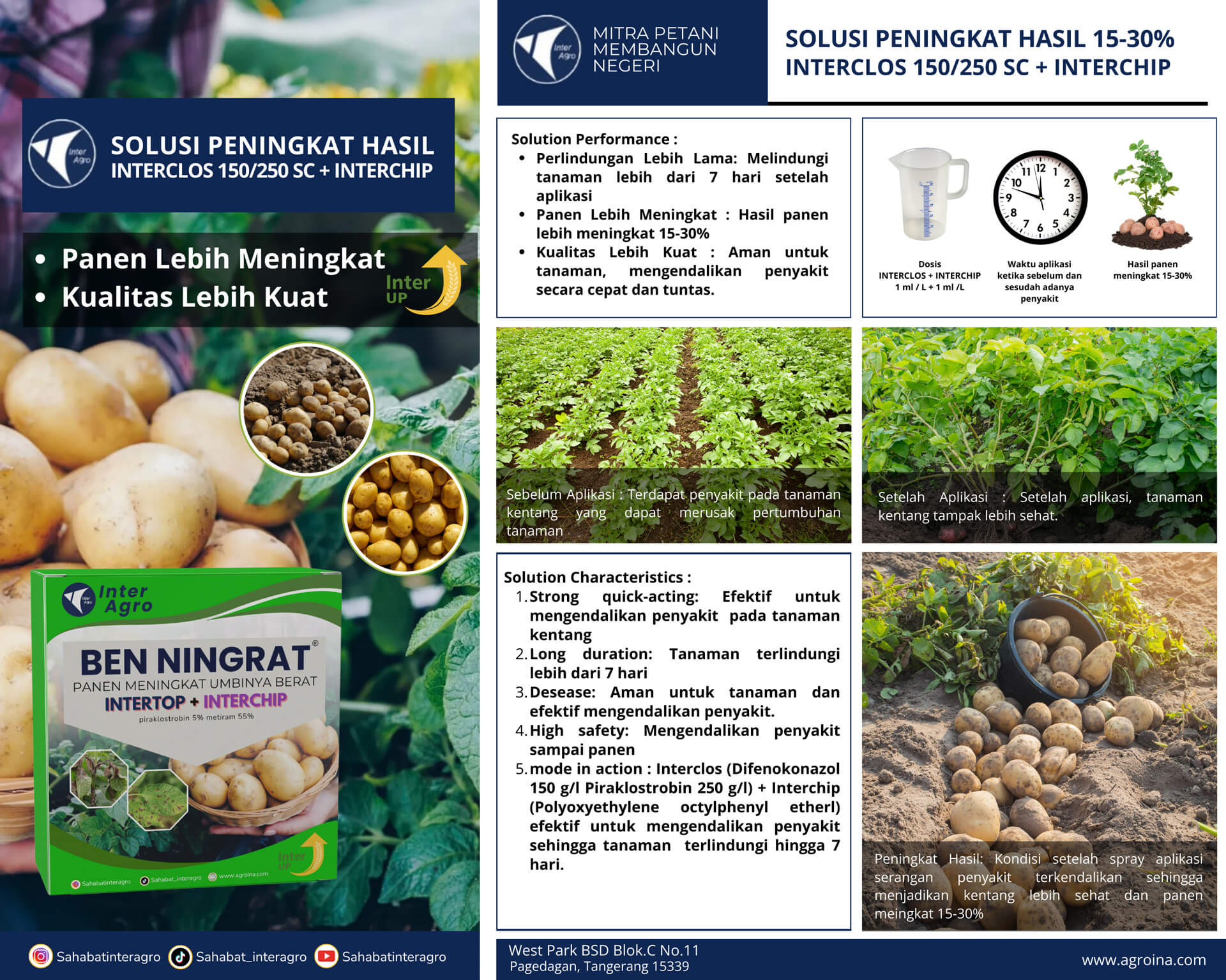 4.2 Kentang Peningkat Hasil Interclos+interchip