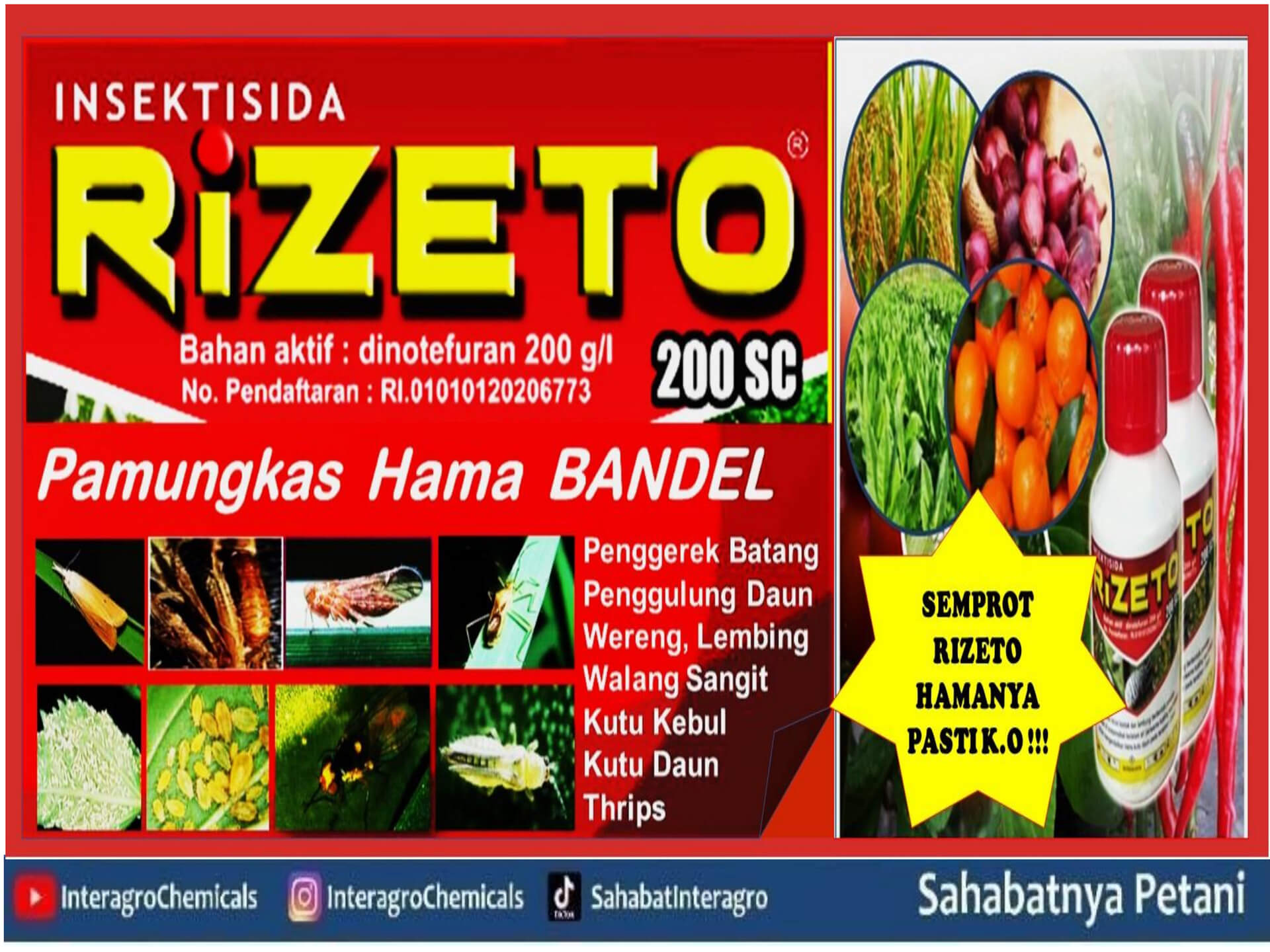 5. Rizeto 200 Scjpg Page1