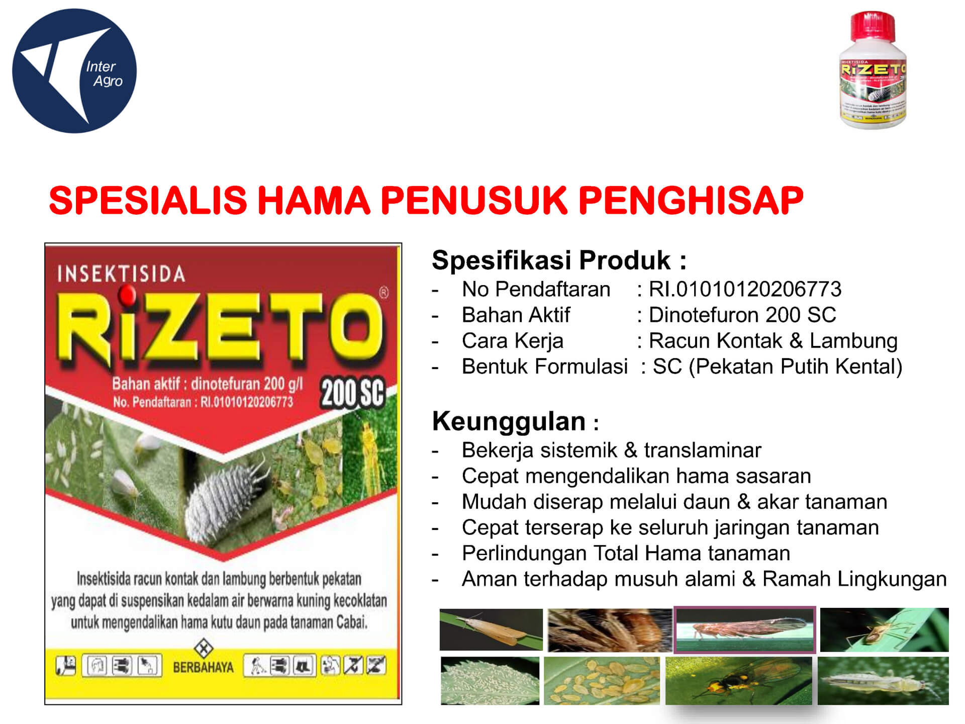5. Rizeto 200 Scjpg Page2