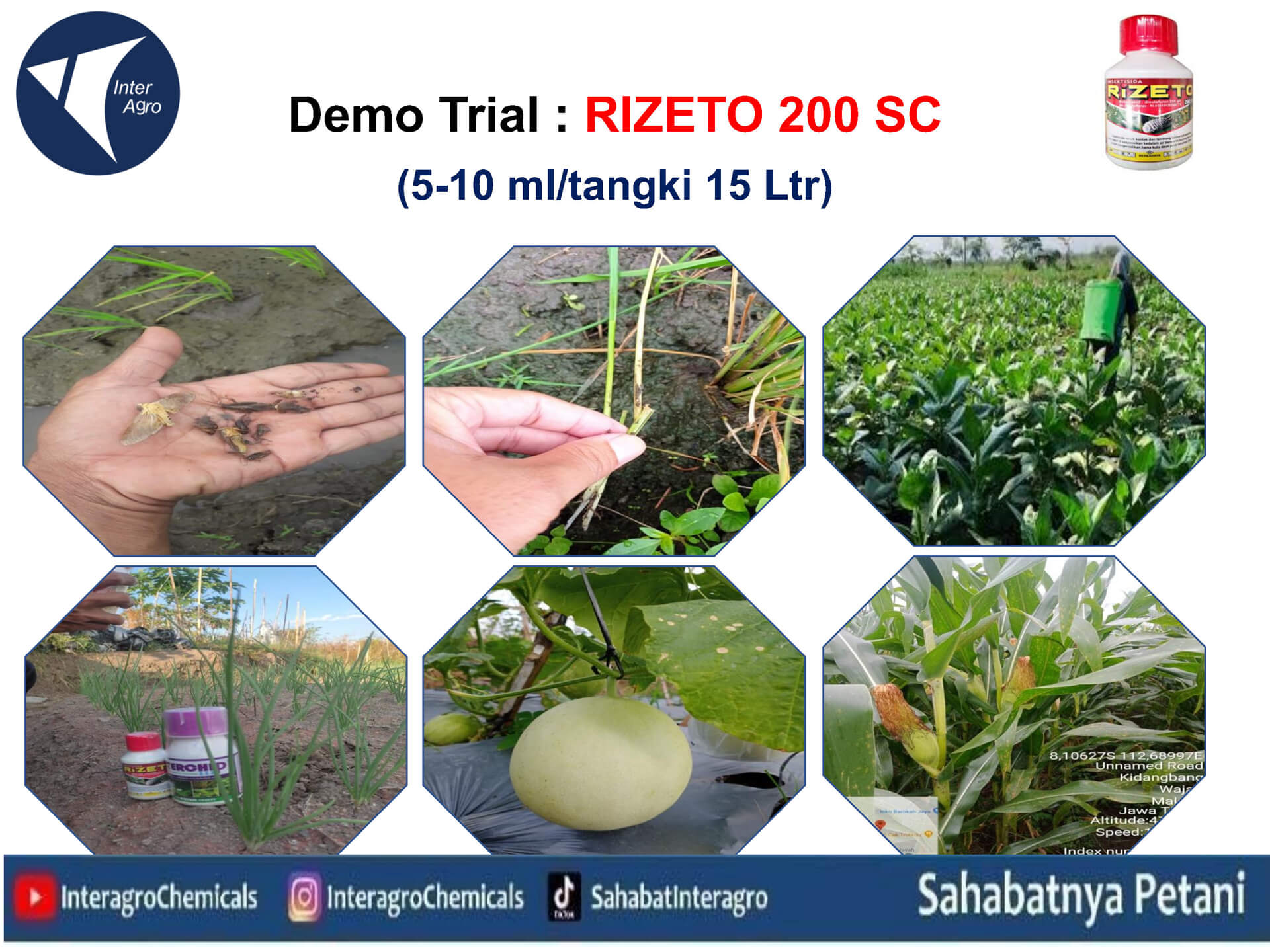 5. Rizeto 200 Scjpg Page24
