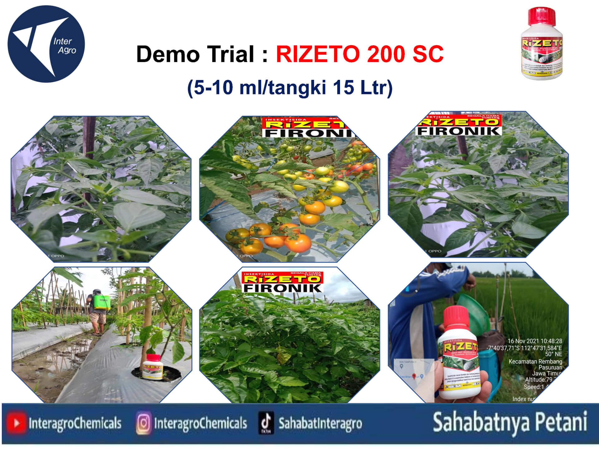 5. Rizeto 200 Scjpg Page25