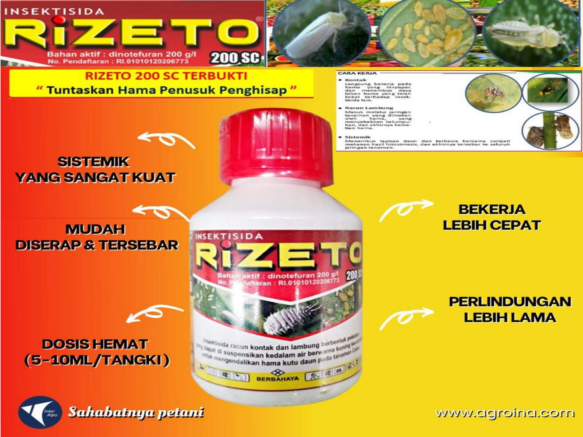 5. Rizeto 200 Scjpg Page28