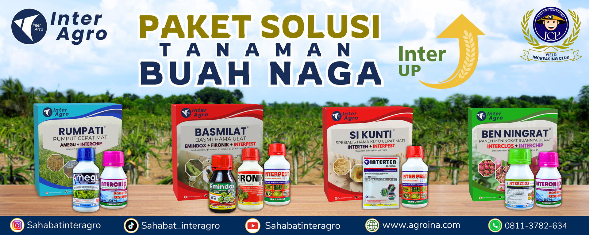 6. Buah Naga