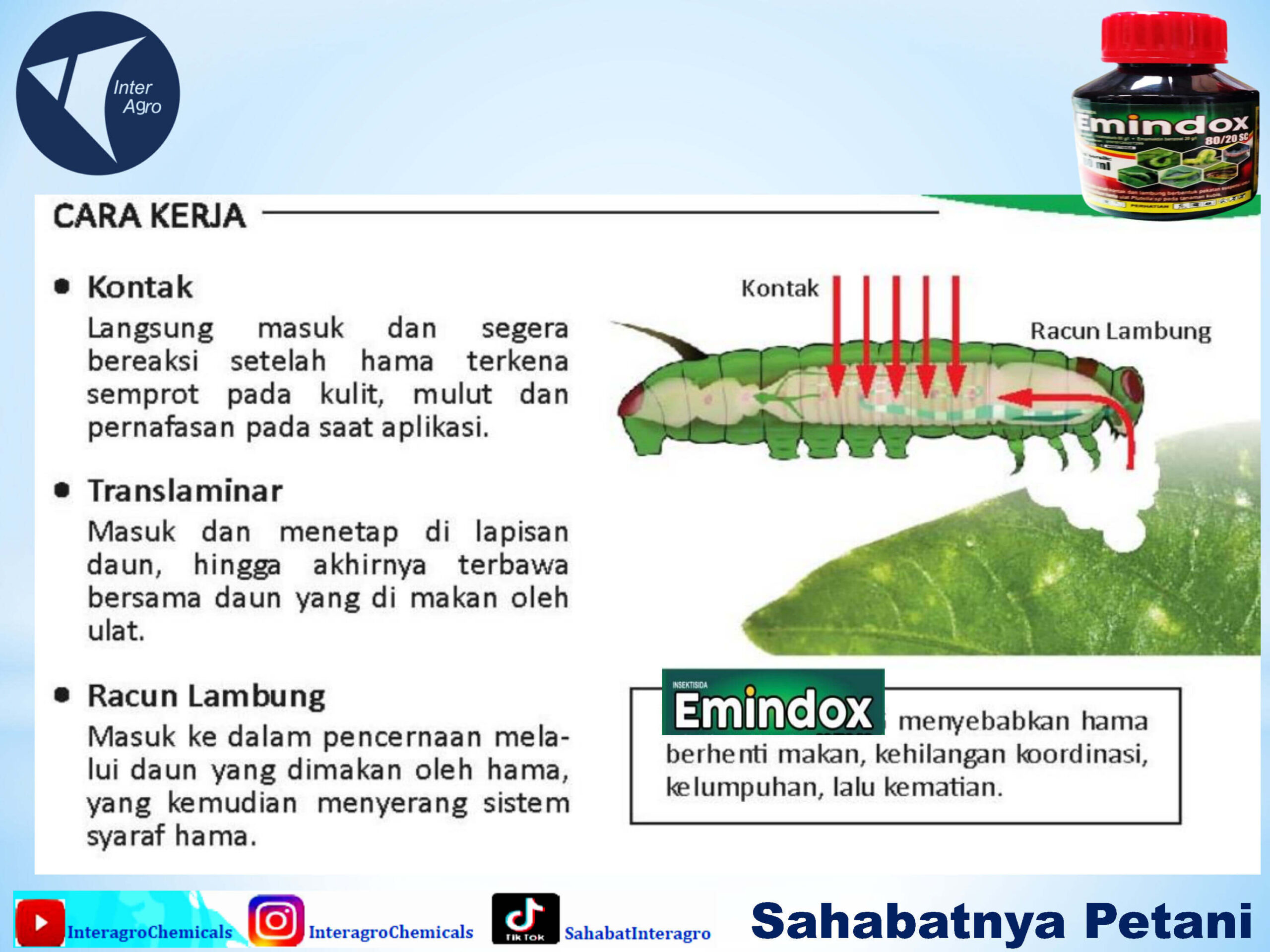 6. Emindox 100 Scjpg Page3